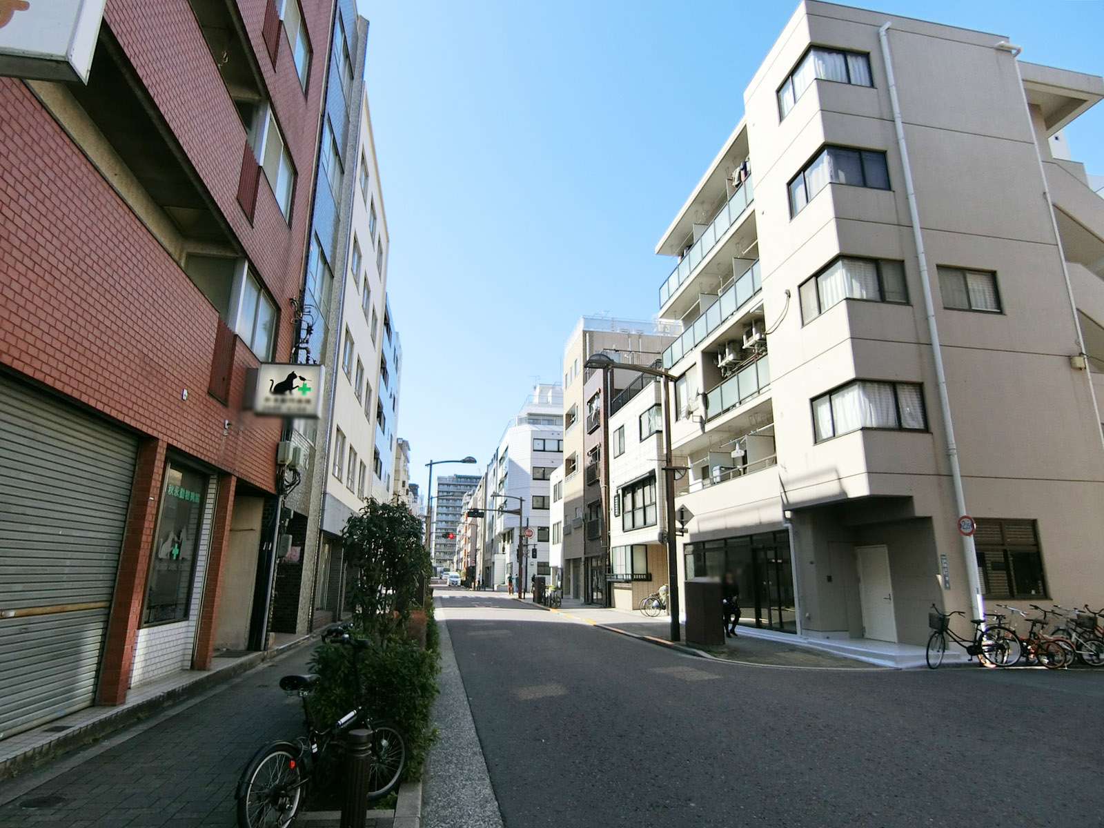 マーサビル前面の通り