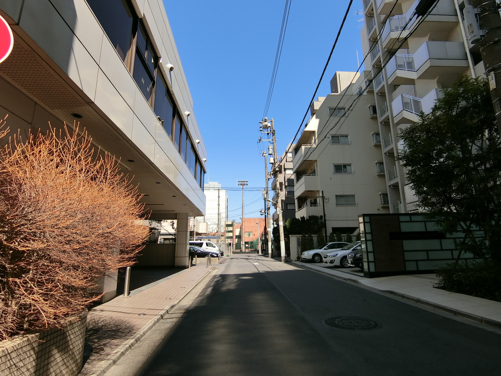 周辺のオフィス街の様子