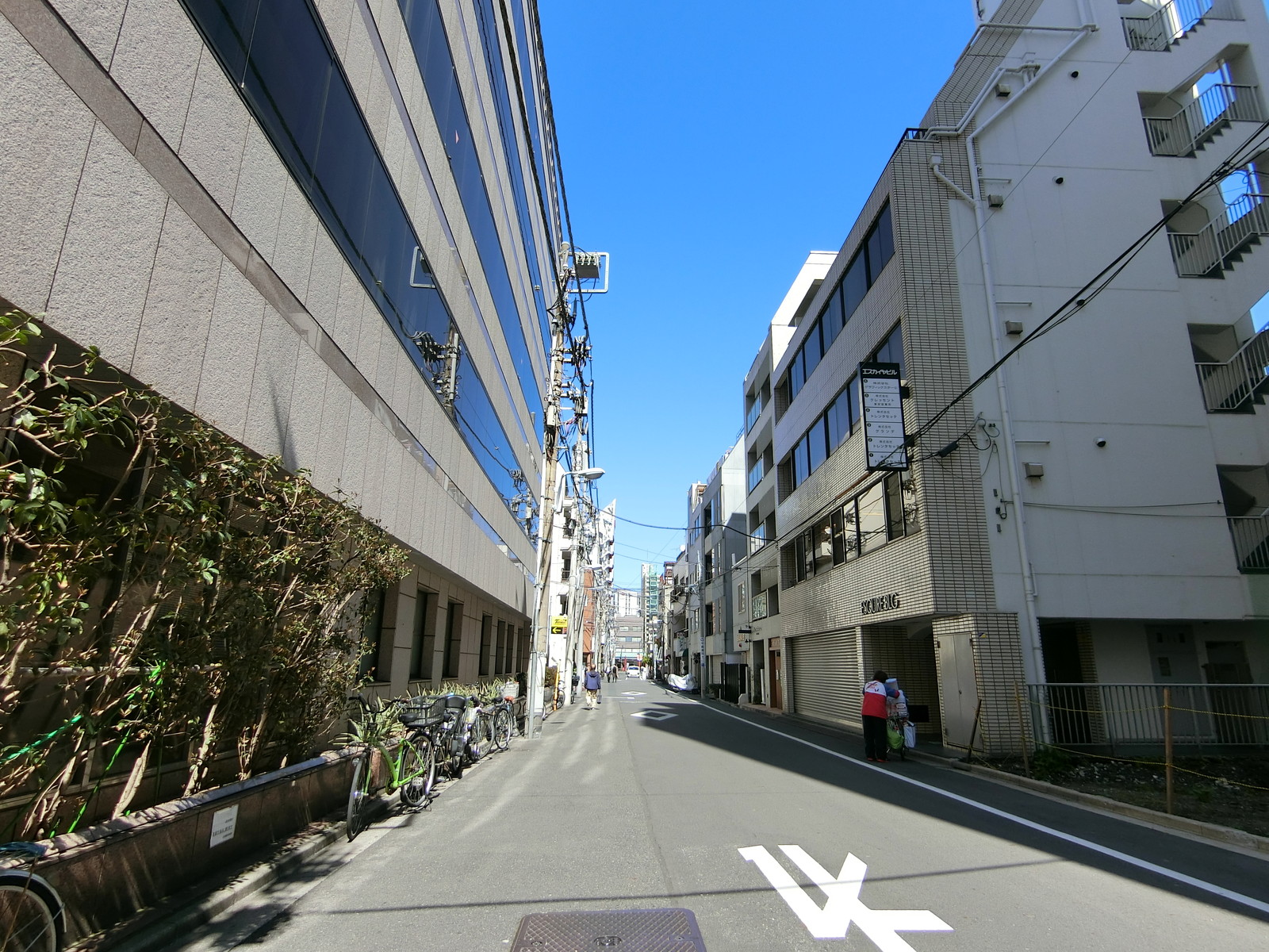 エスカイヤビル前面の通り
