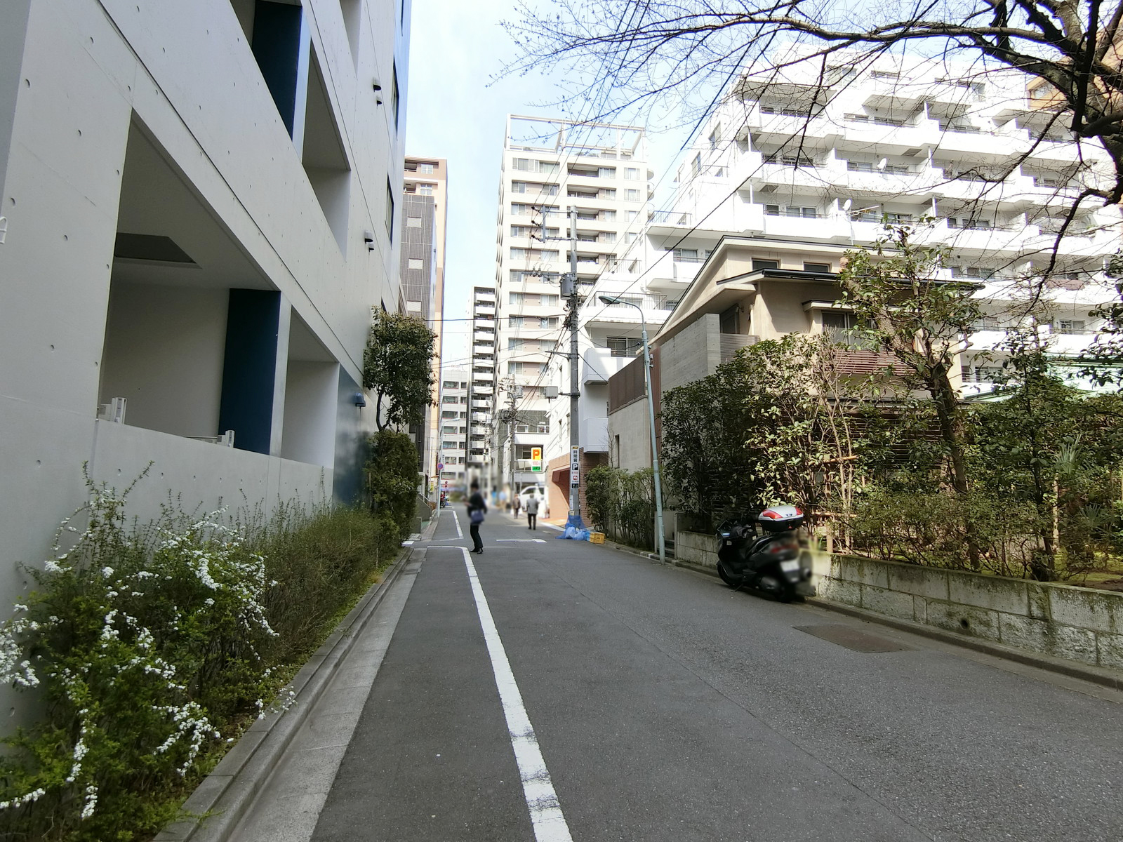 金澤YJビル前面の通り