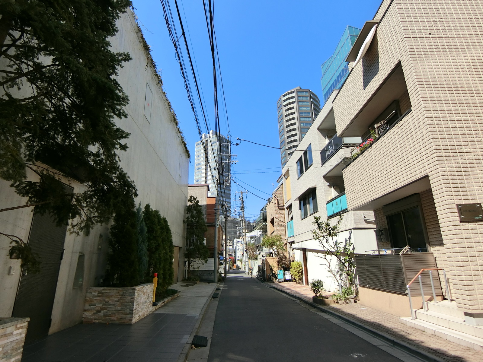 リッモーネ六本木前面の通り