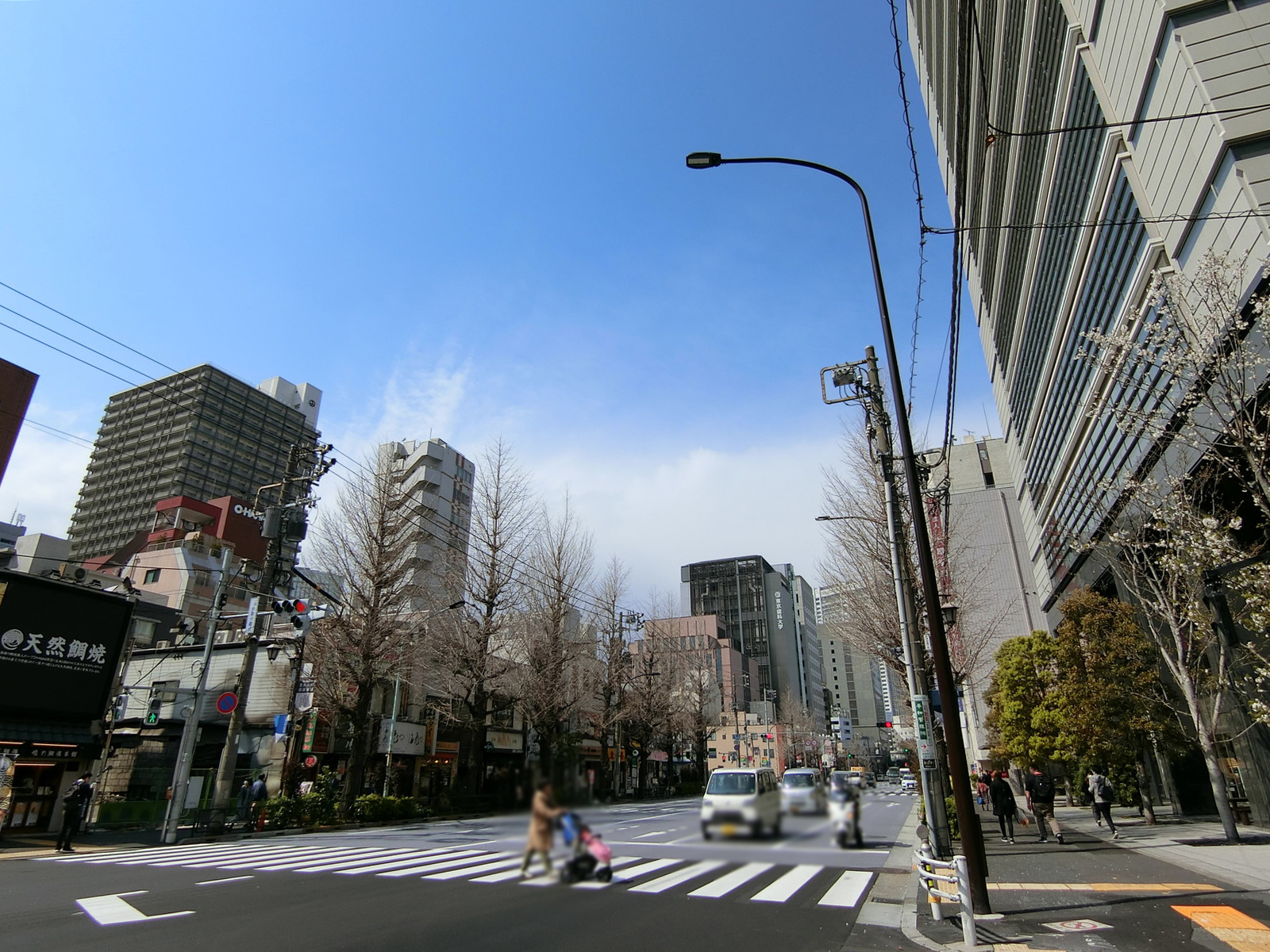 大原学園1号館前面の白山通り
