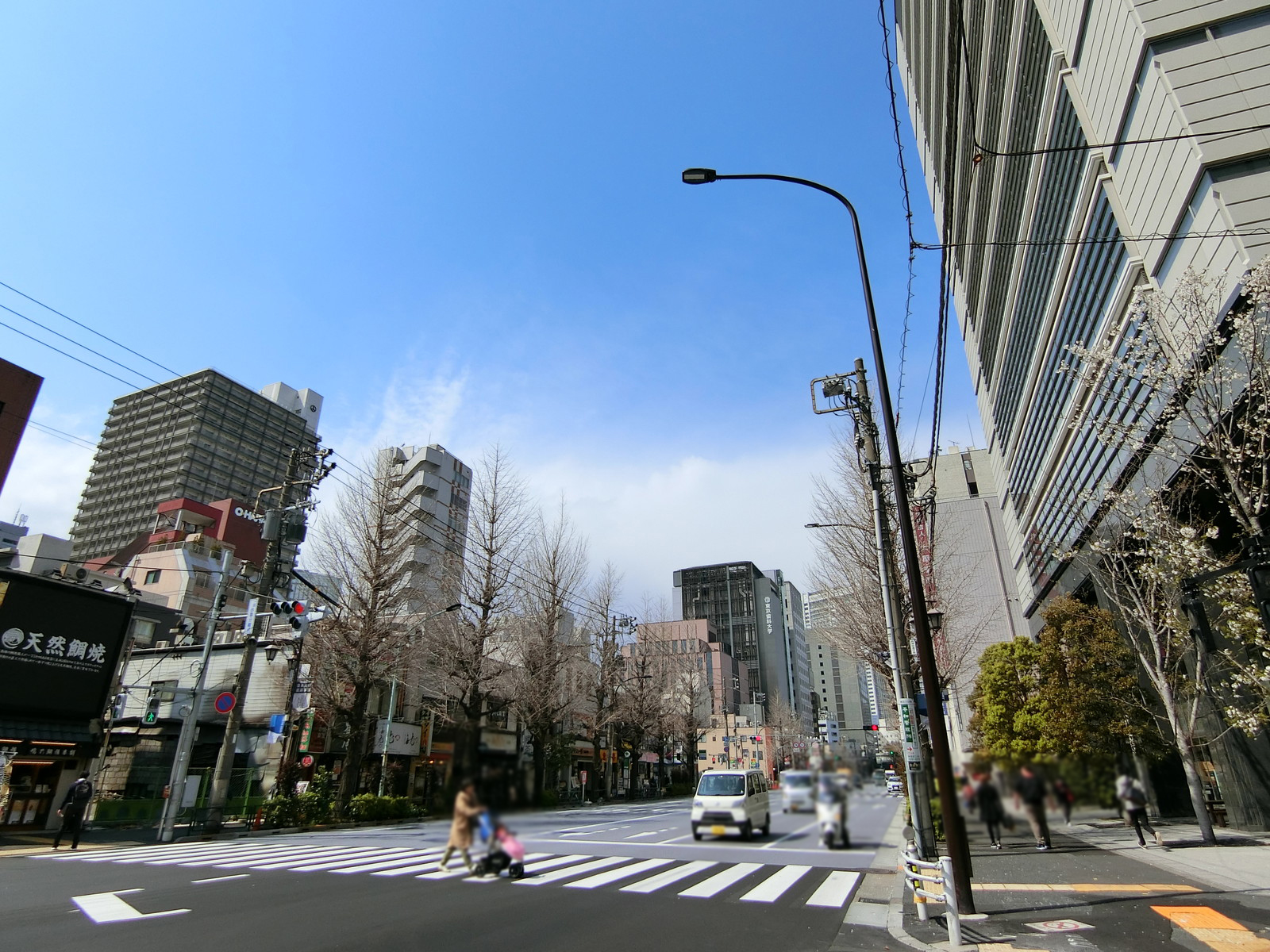 ビルディングパピロス前面の白山通り