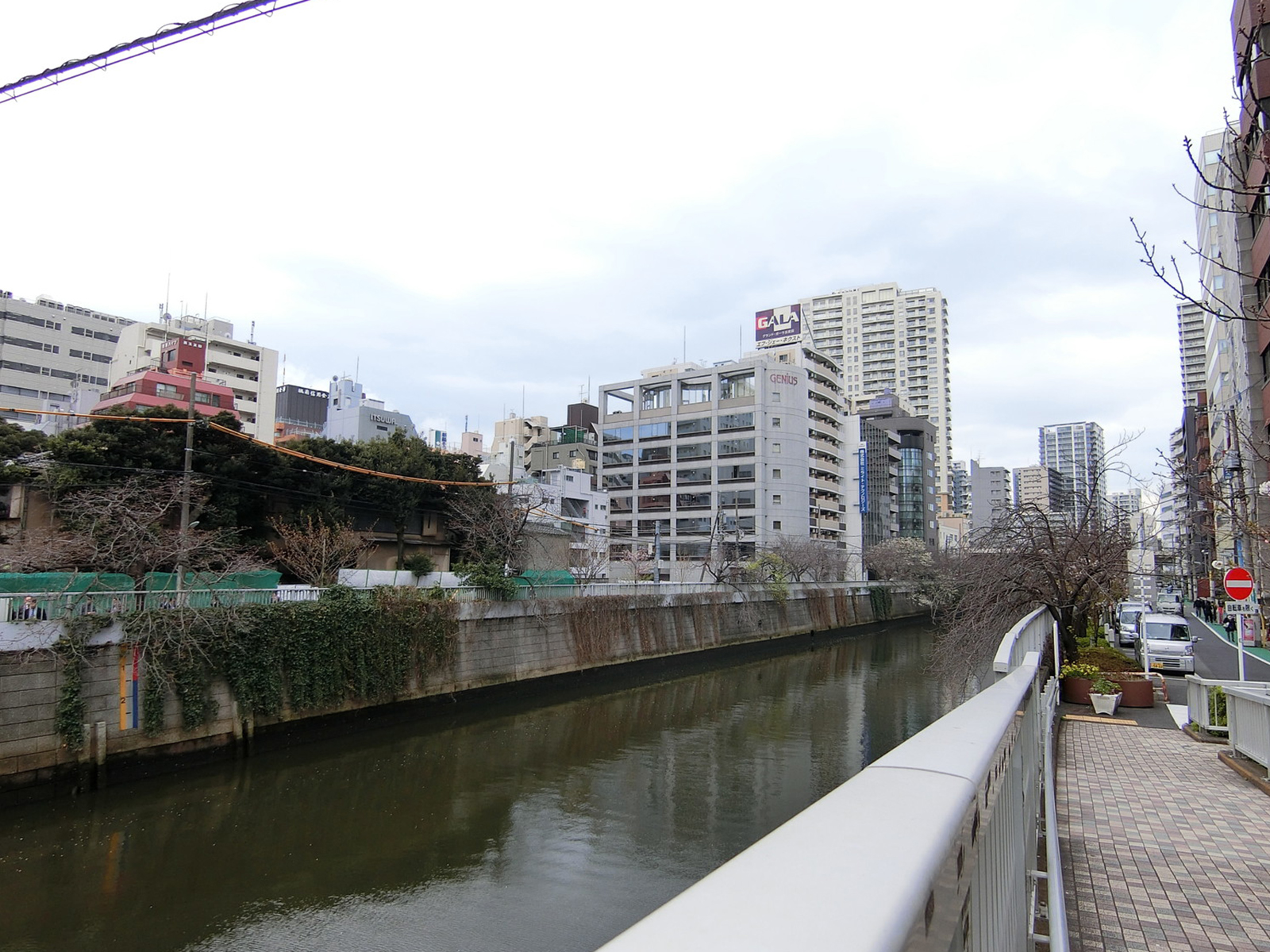 付近の目黒川