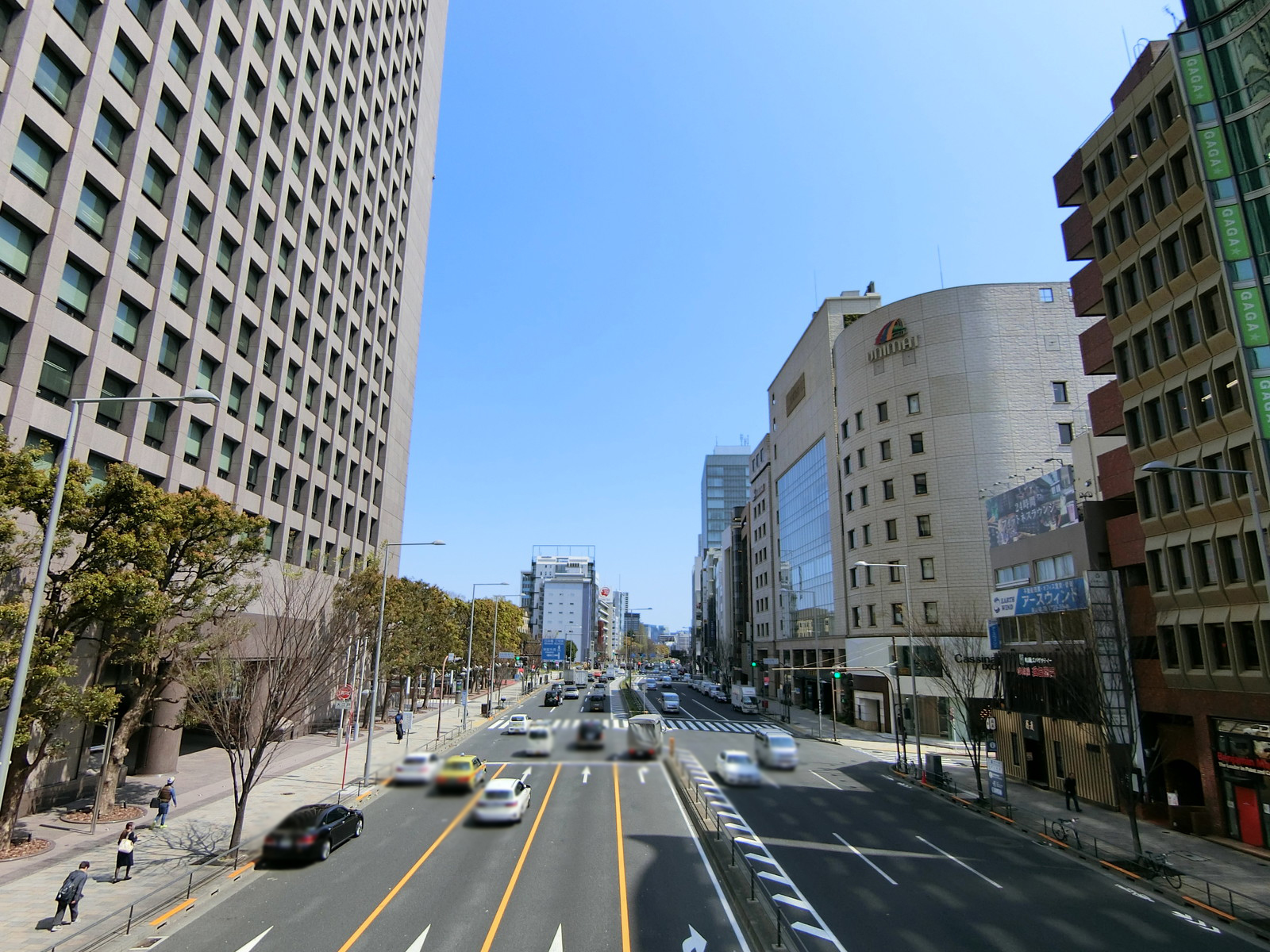付近の青山通り