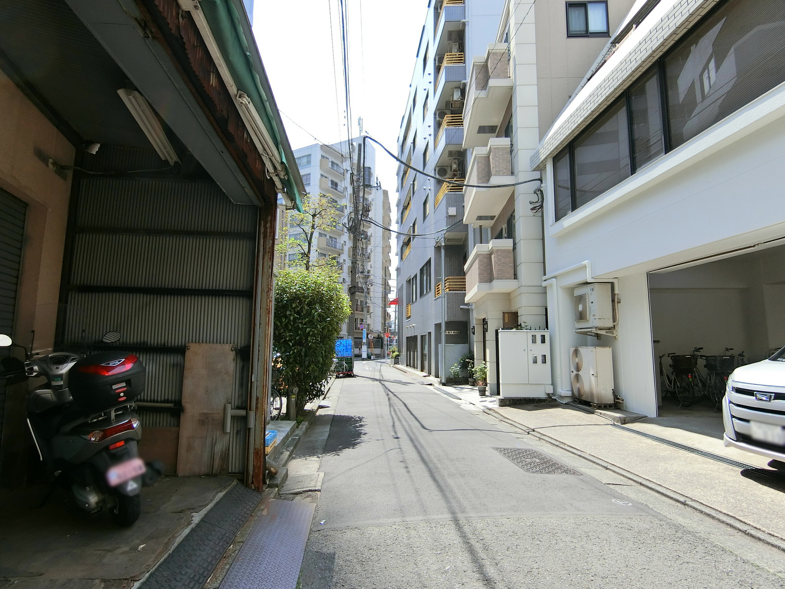 柏屋ビル前面の通り