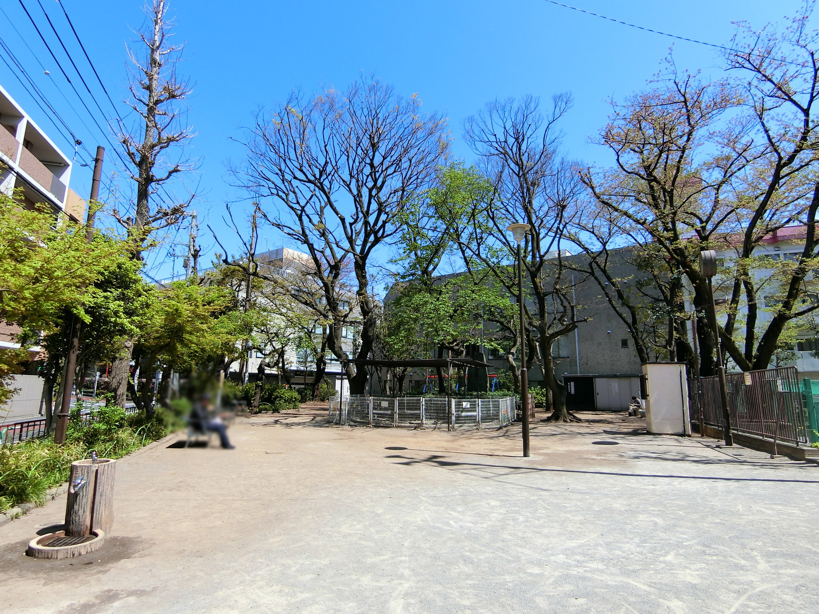 付近の巣鴨公園