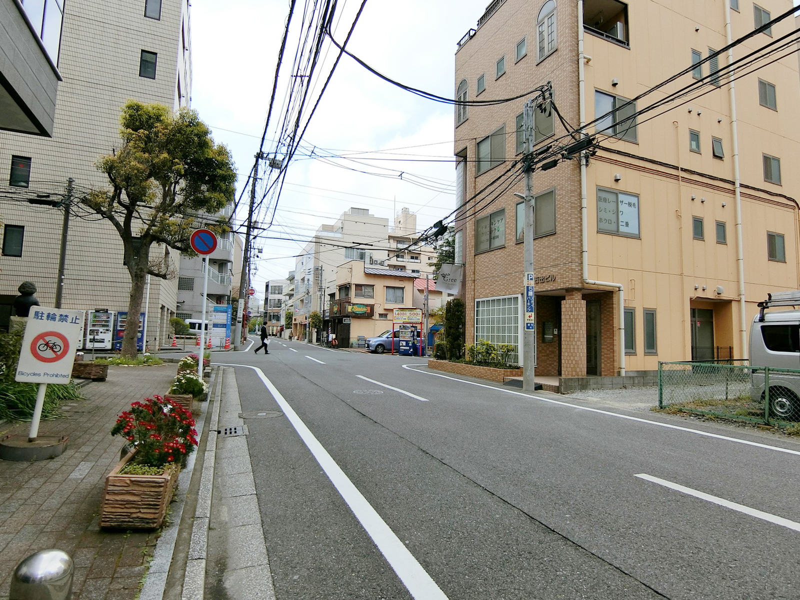 サンライト前面の通り