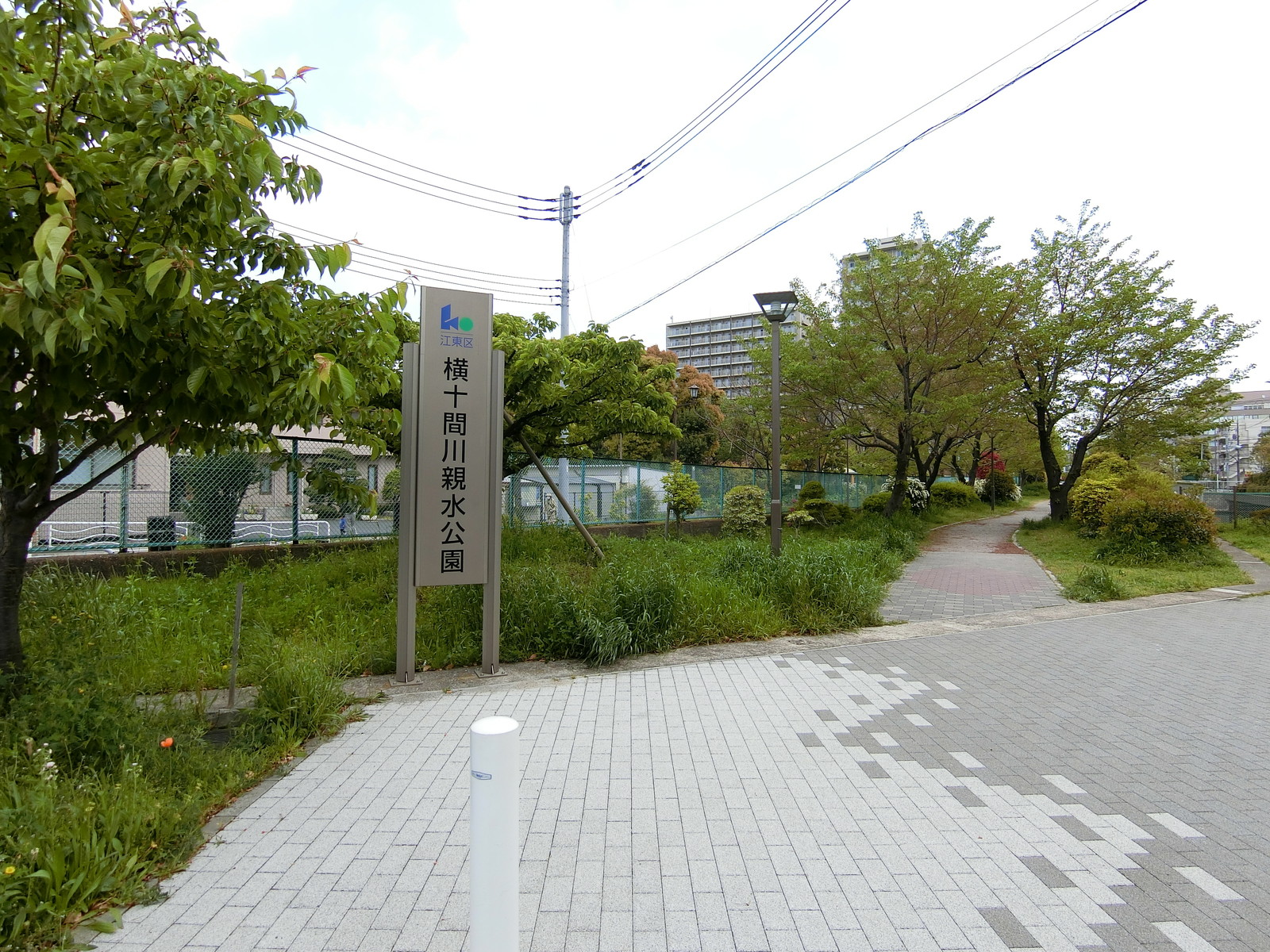 並びの横十間川親水公園