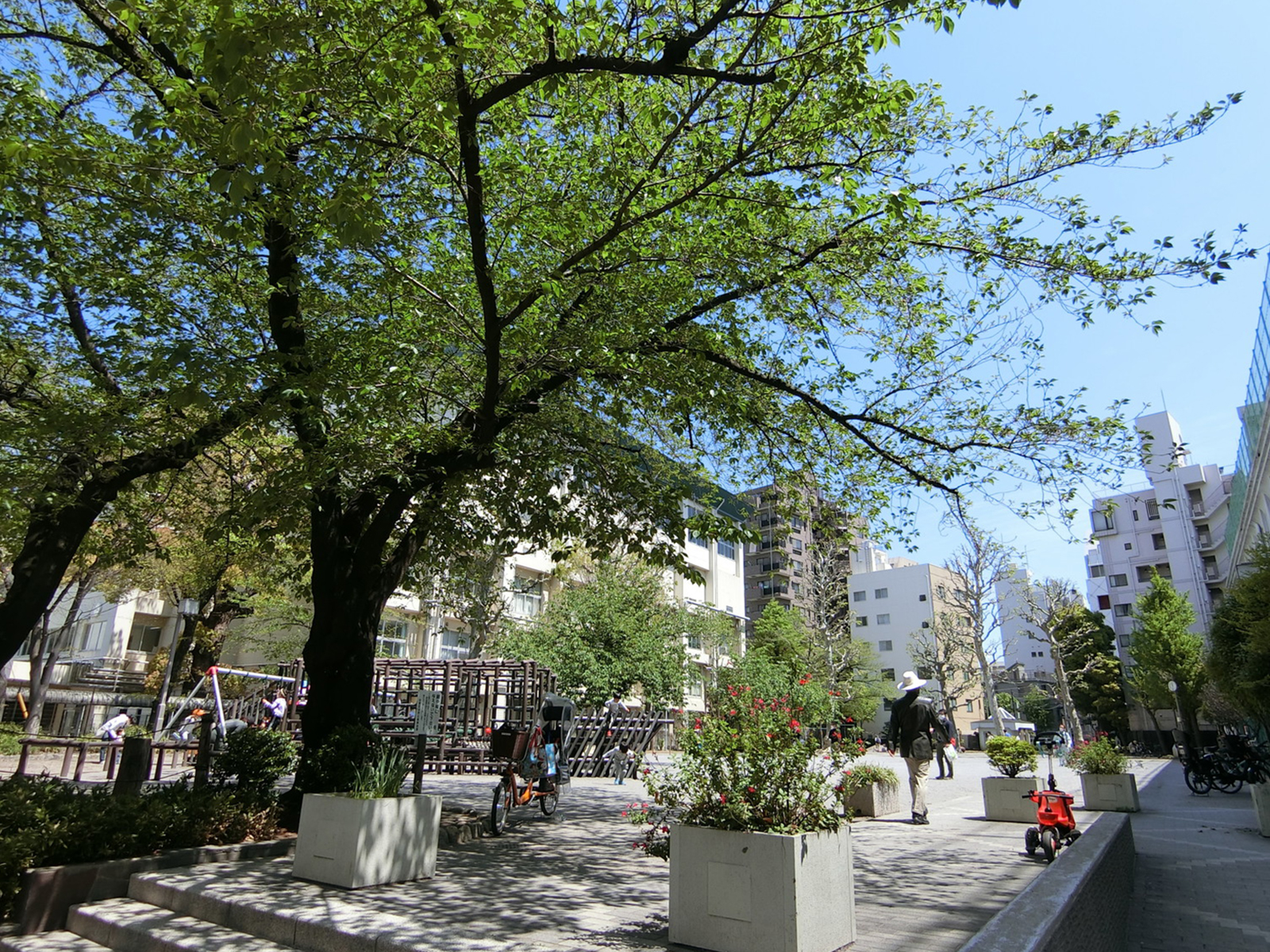 至近の柳北公園