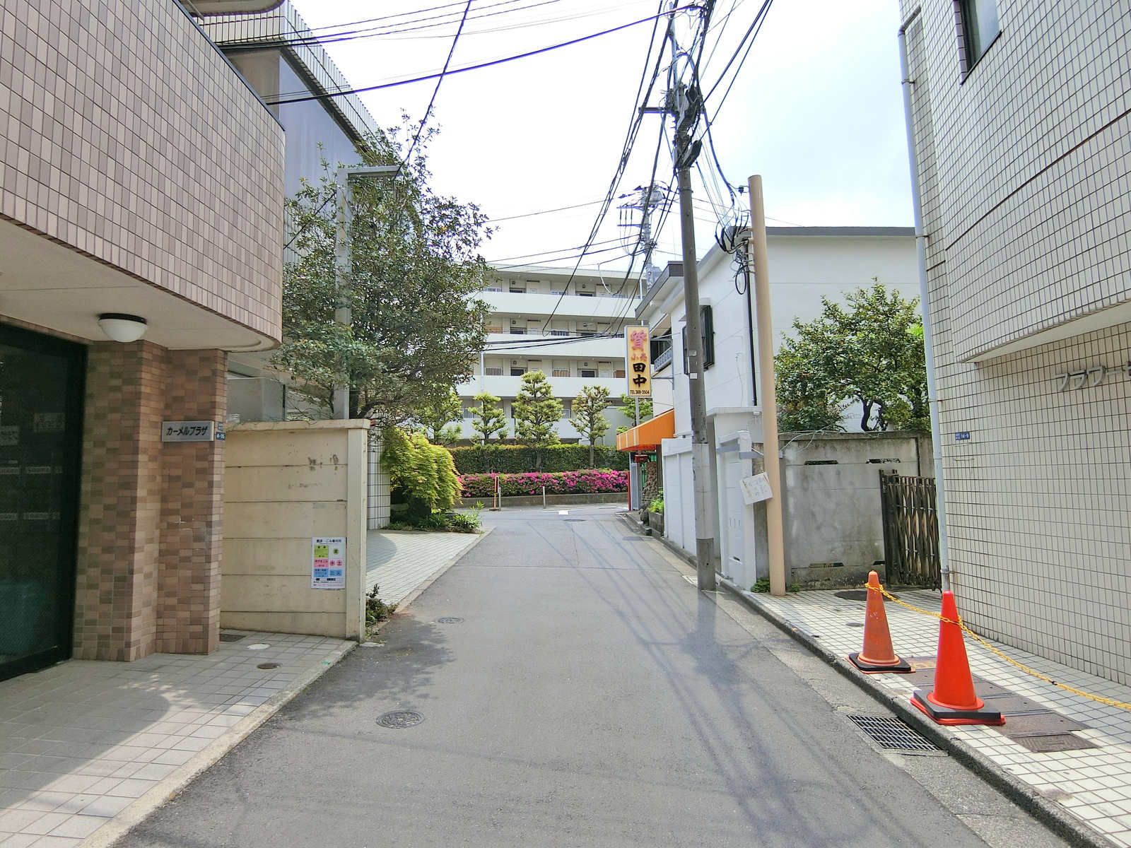 フラワービル前面の通り