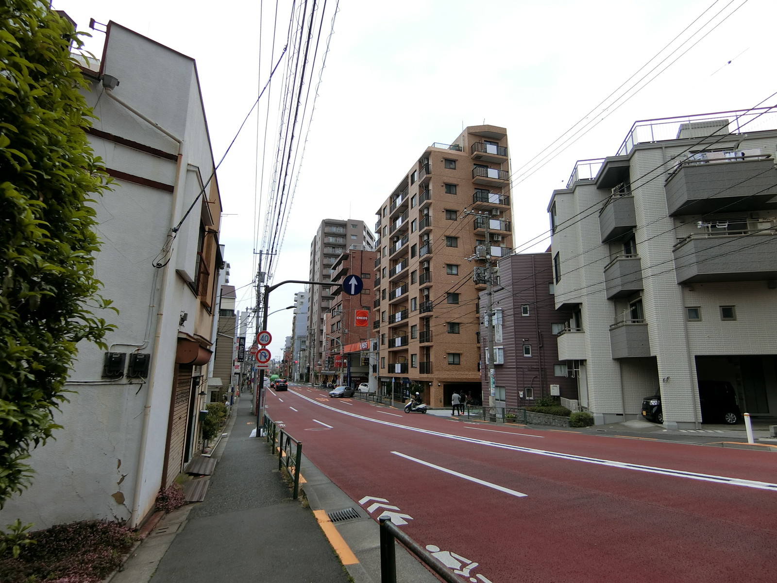 セボンアダージオ文京前面の不忍通り