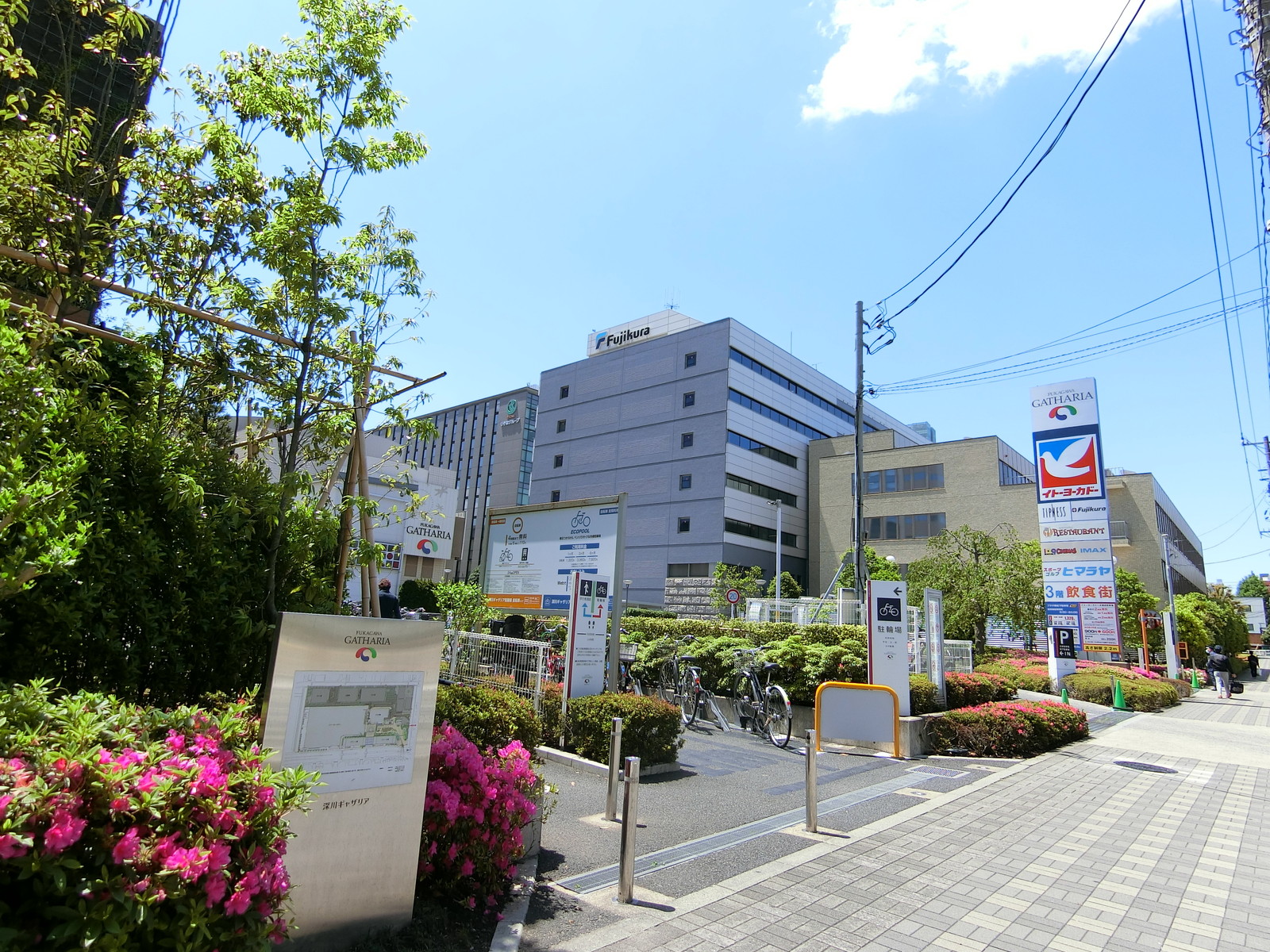向かいのイトーヨーカドー木場店