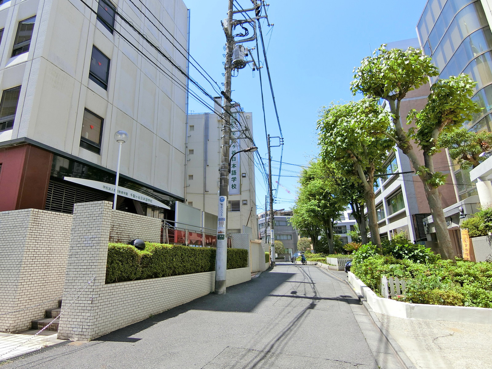 周辺は閑静なエリア