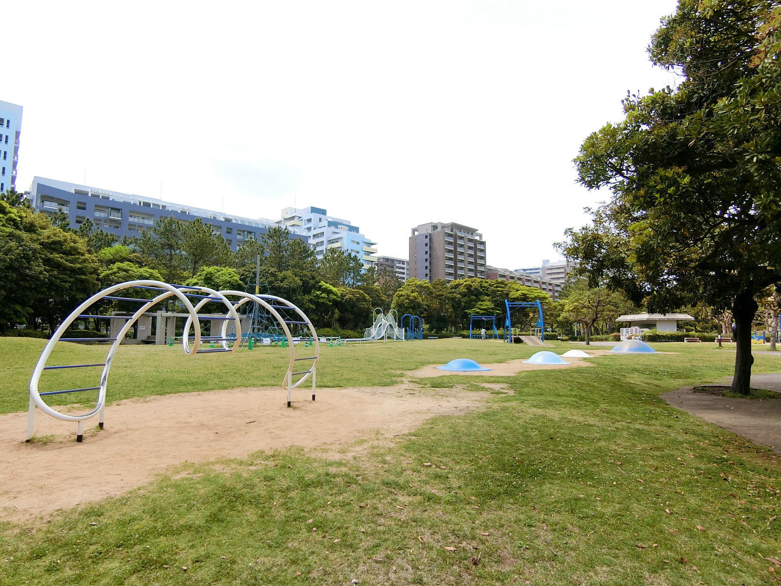 近くの県立幕張海浜公園