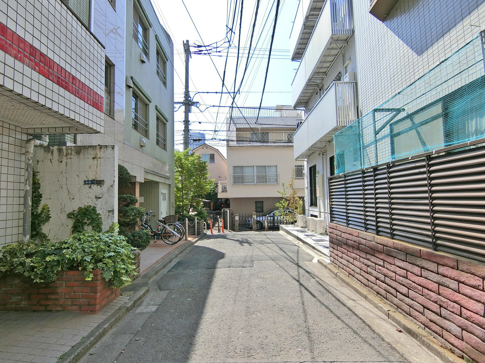 金子ビル前面の通り