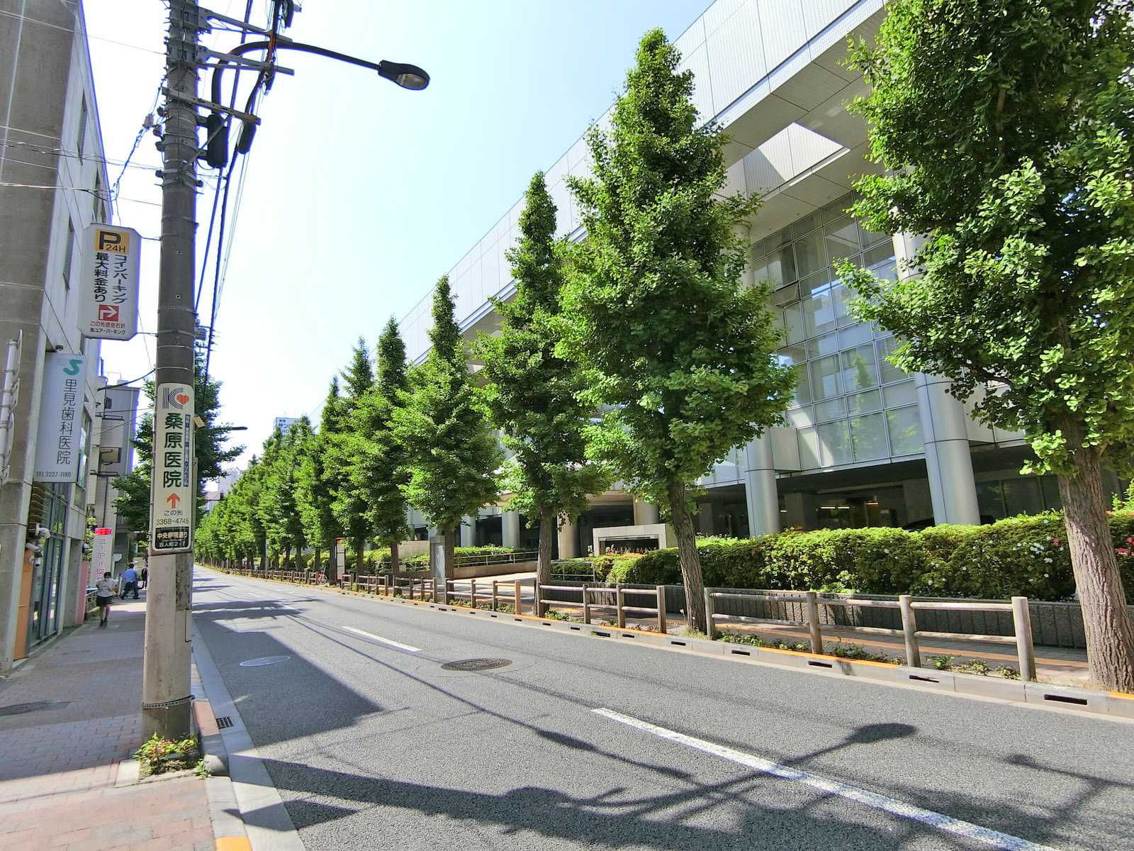 周辺は閑静なエリア