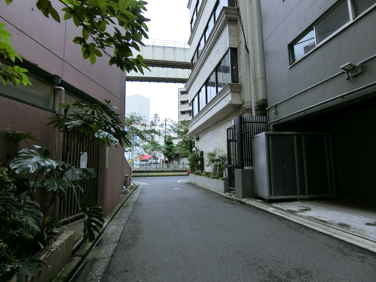 紅谷第一ビル前面の通り