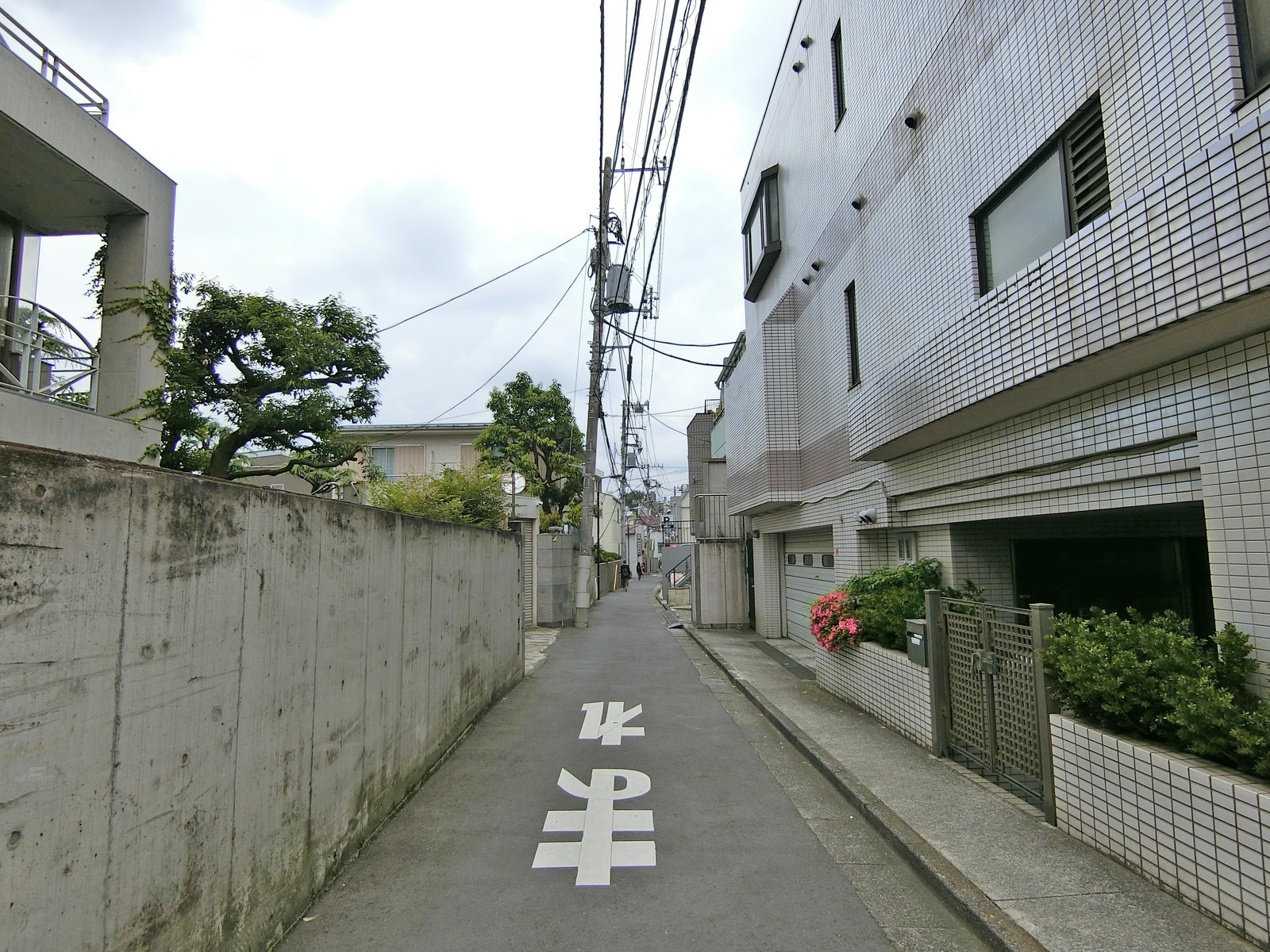 オフィス前面の通り