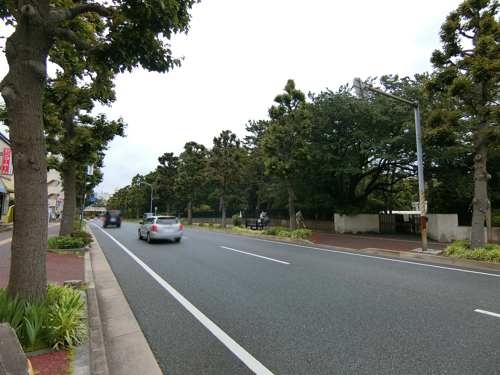 ROCKY松波A前面のゆりの木通り