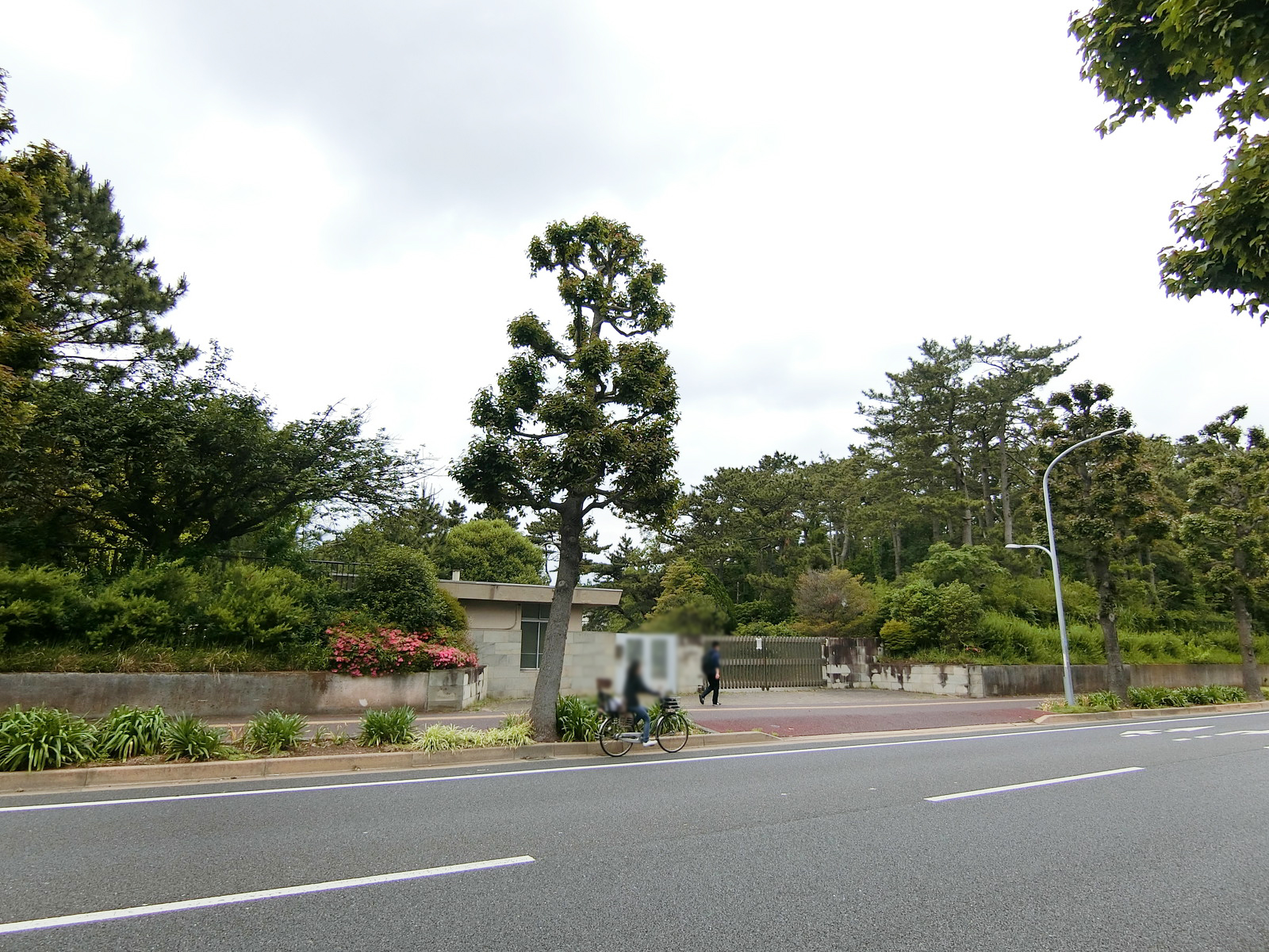 ビル前の千葉大学