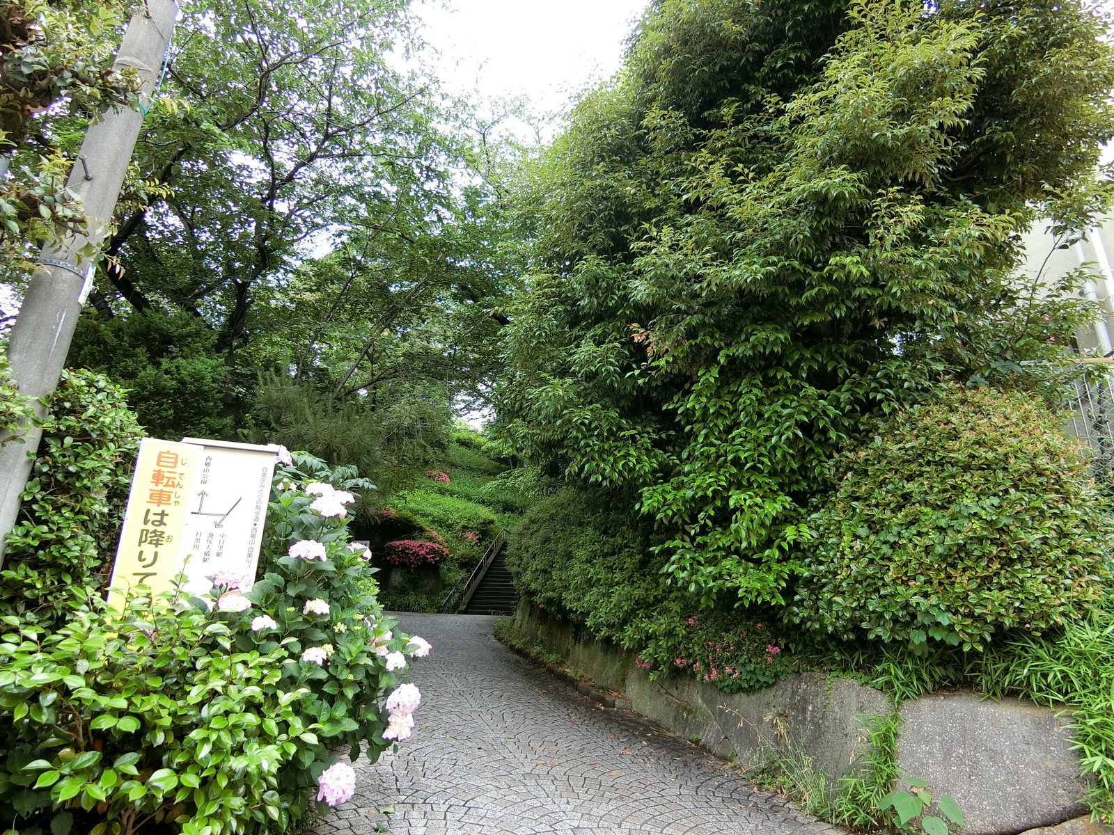 至近の西郷山公園