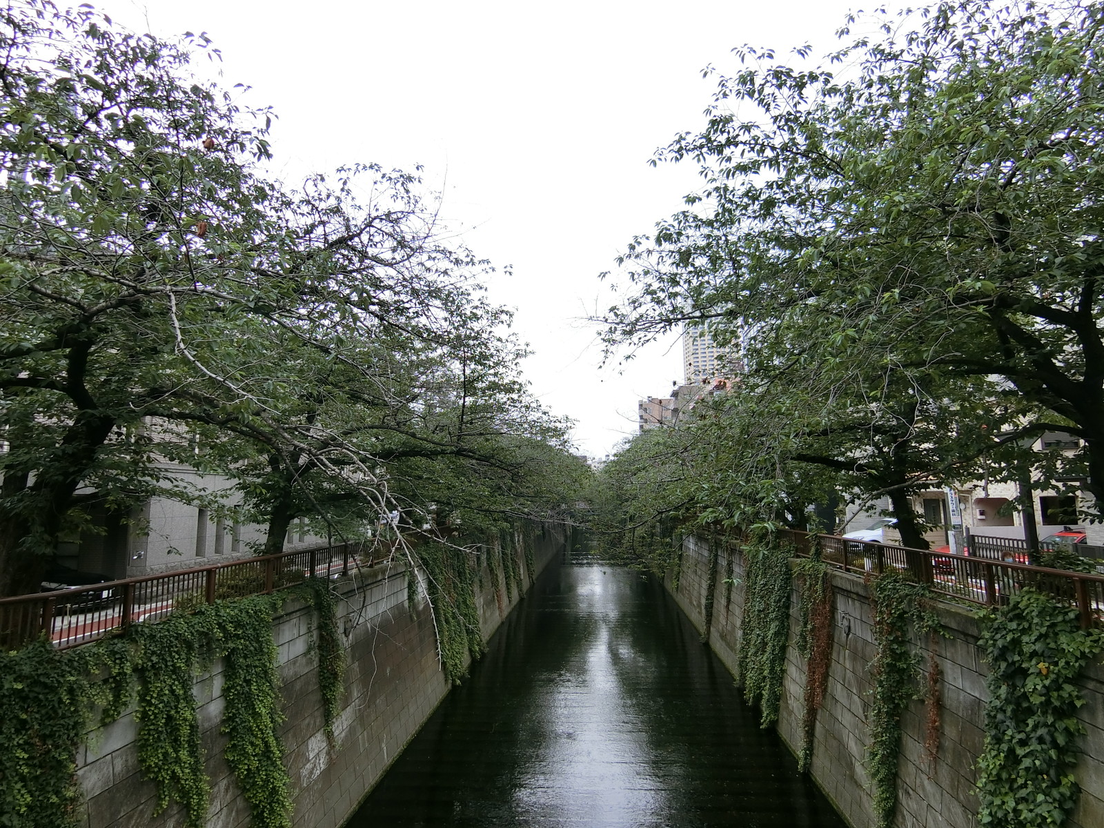 目黒川沿いの立地