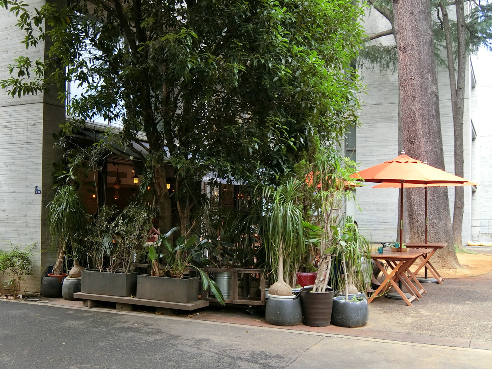 付近には飲食店あり