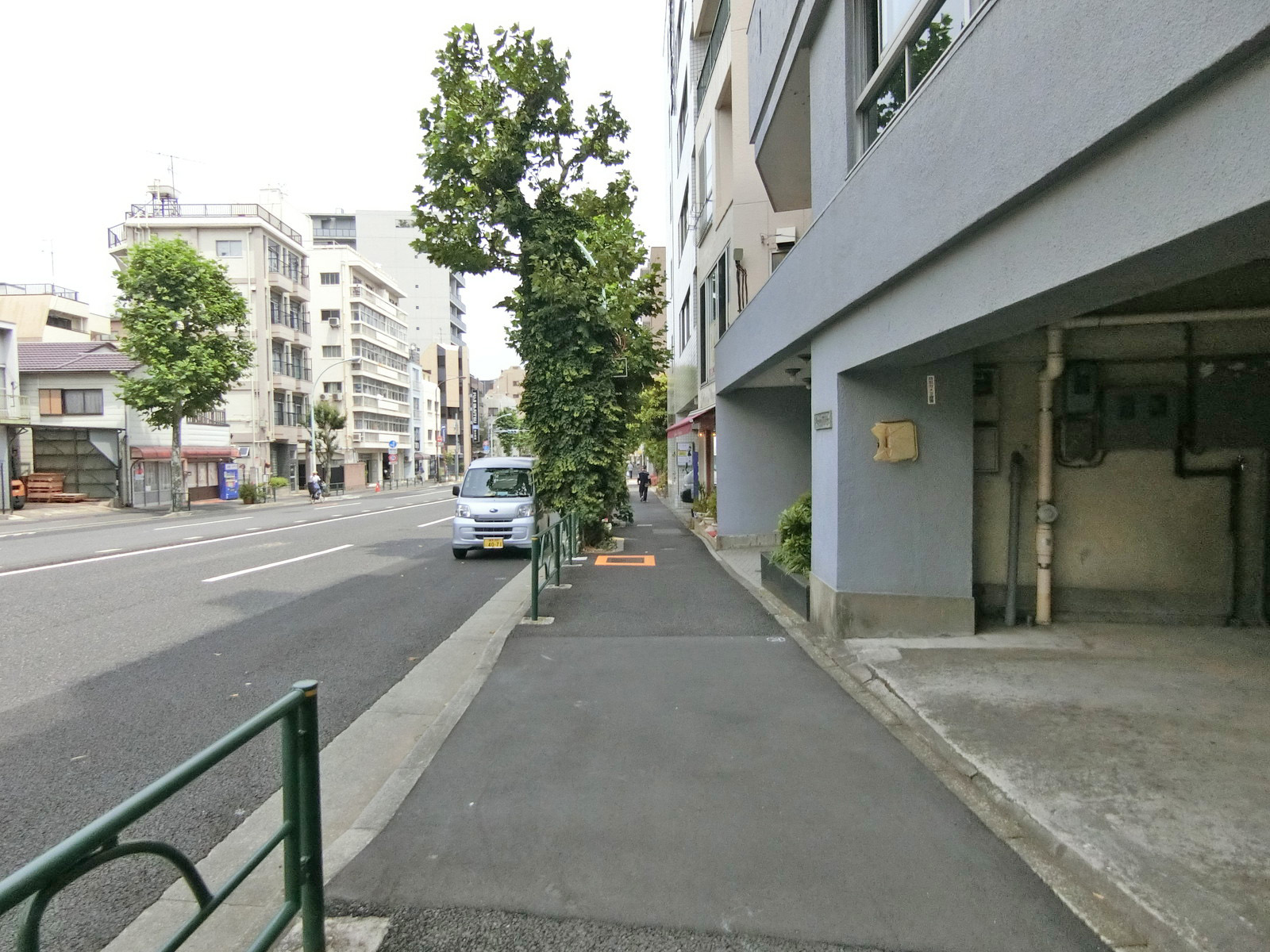 早稲田ハイム前面の通り