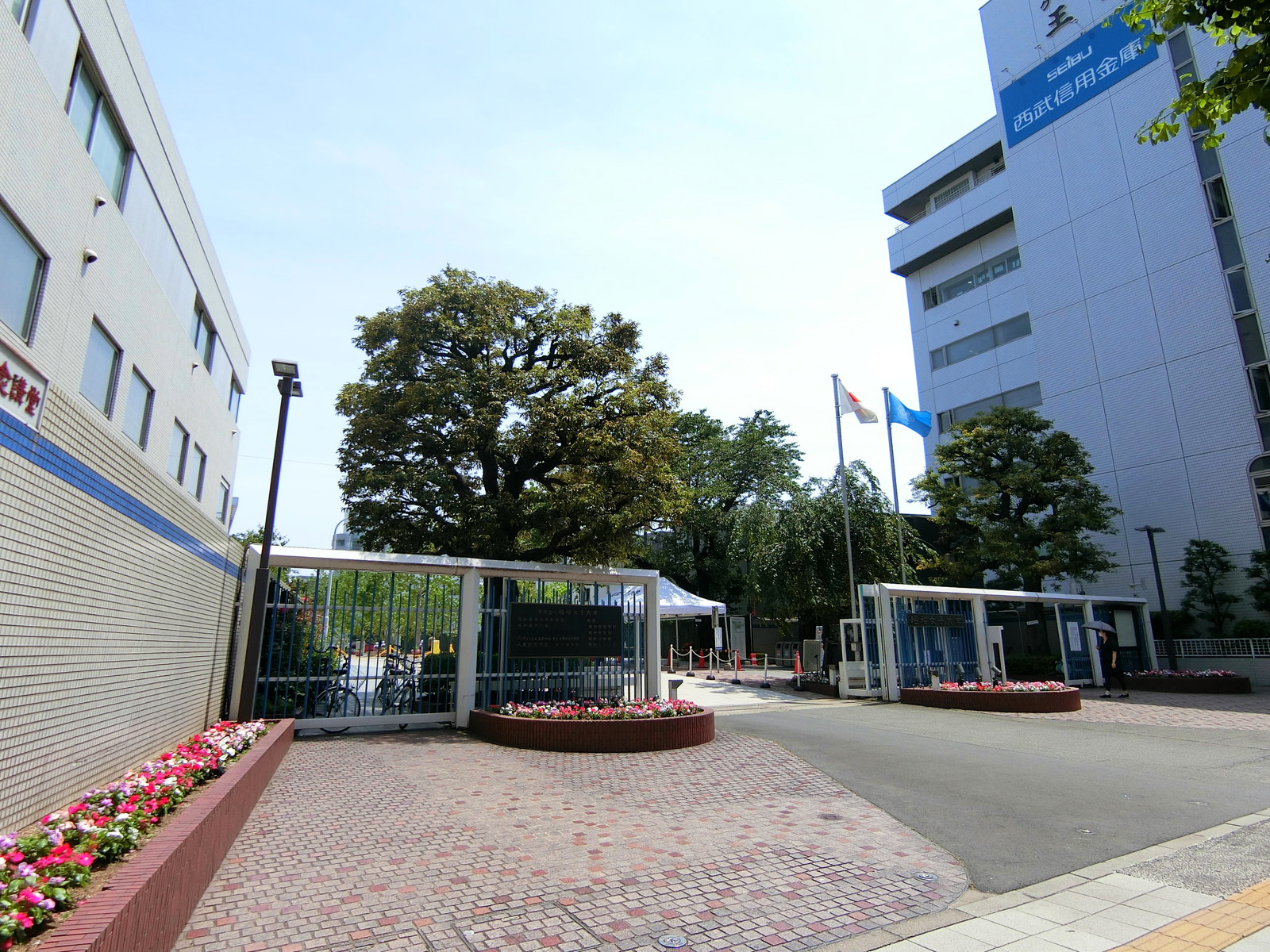 至近の昭和女子大学