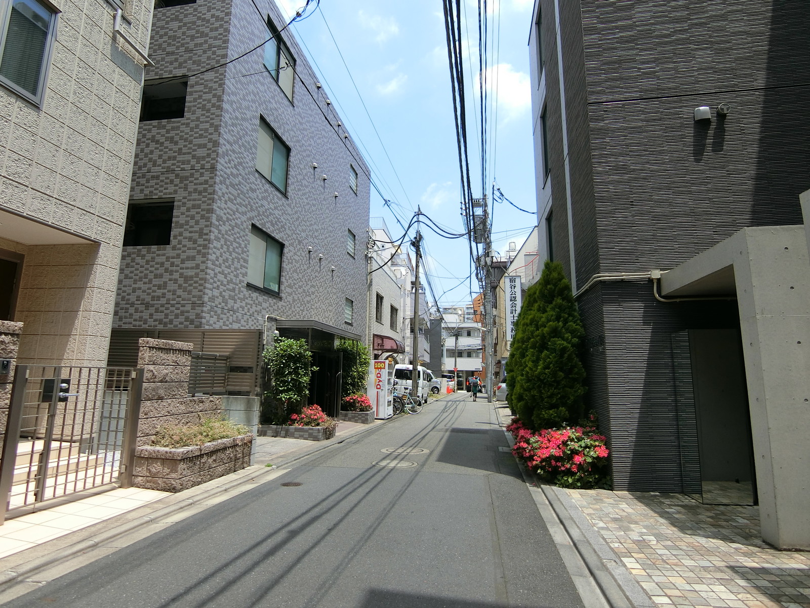 四谷金子ビル前面の通り