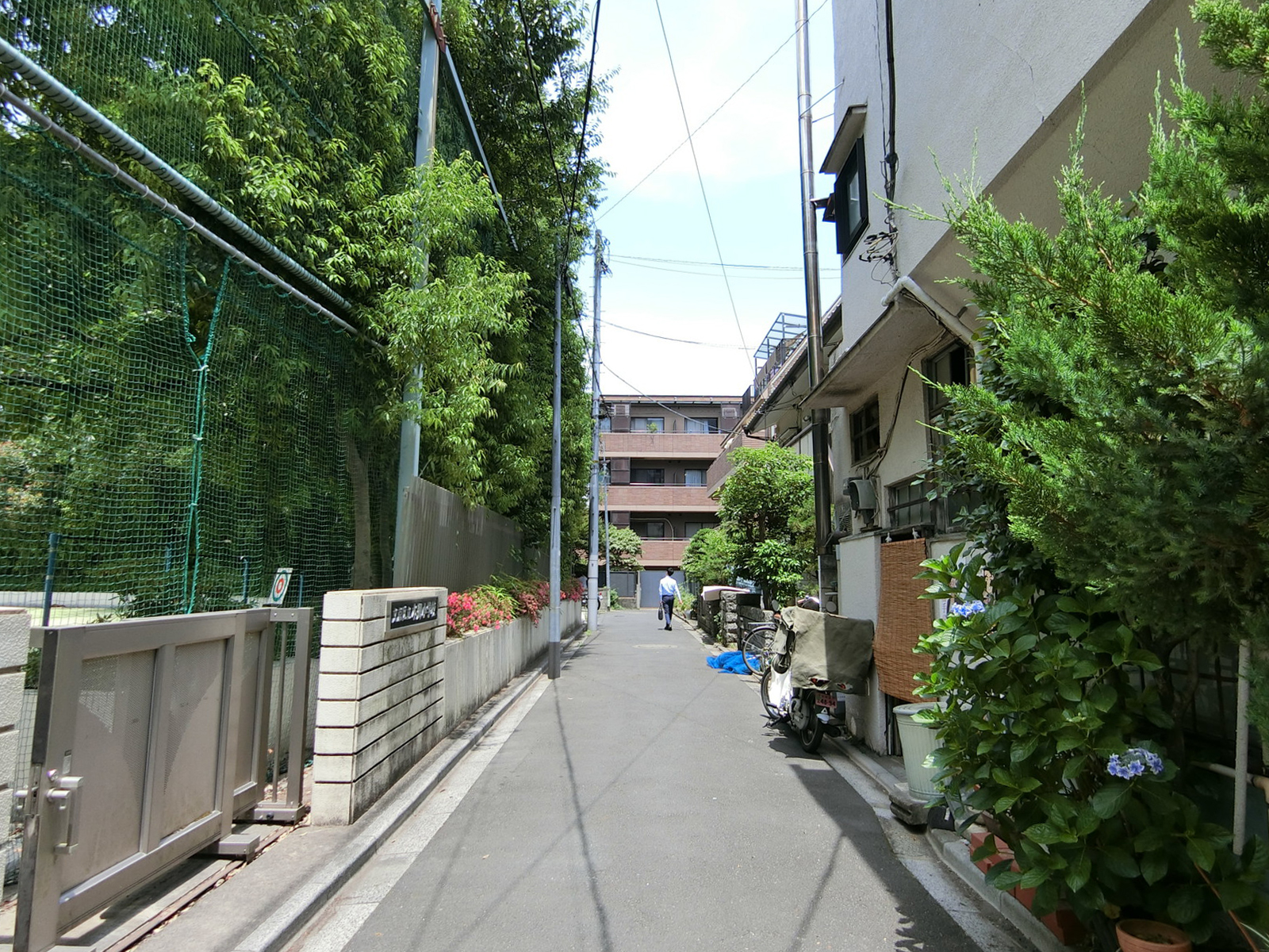 ミュゼR前面の通り