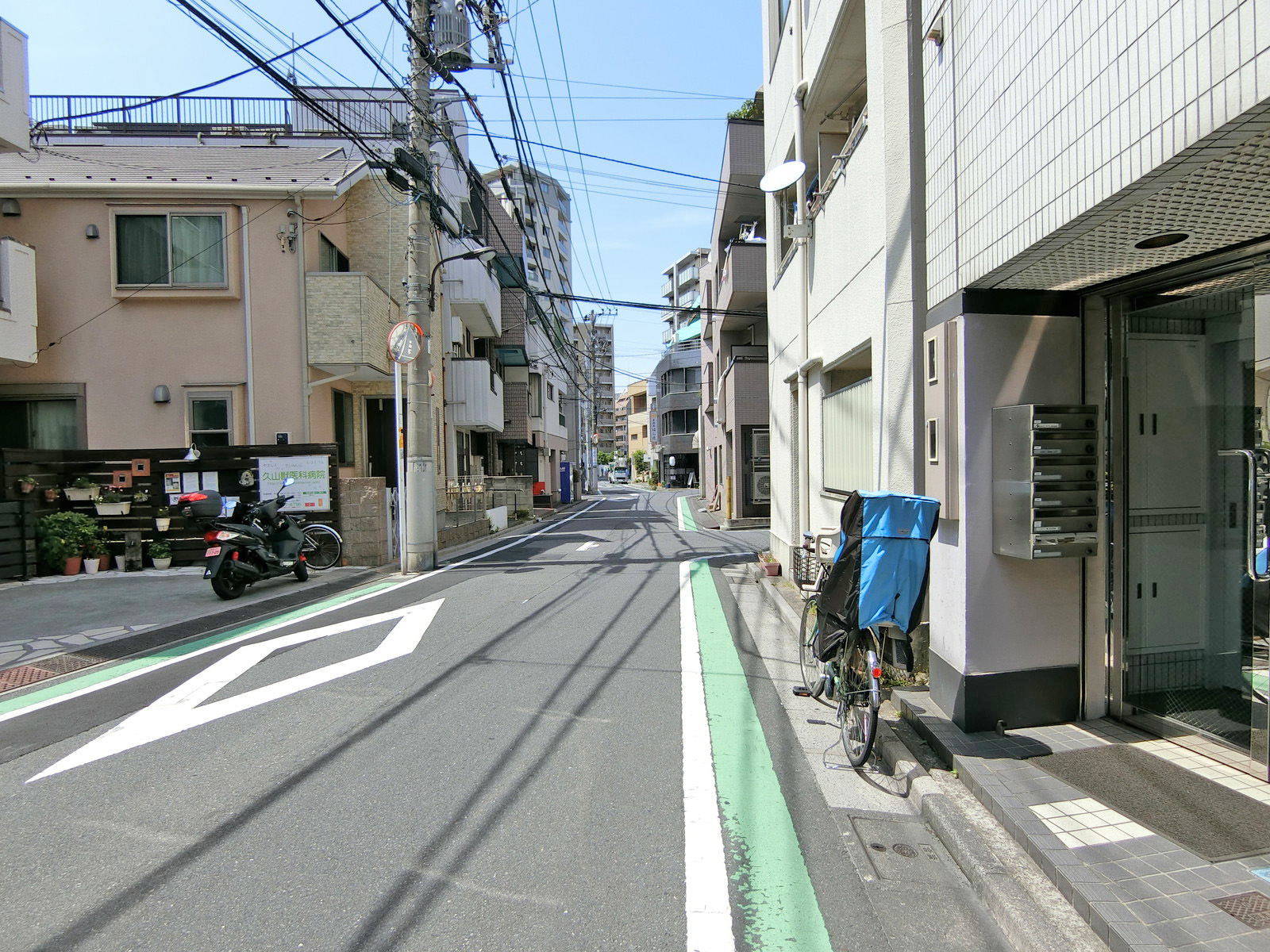 巣鴨桜並木通りビル前面の通り