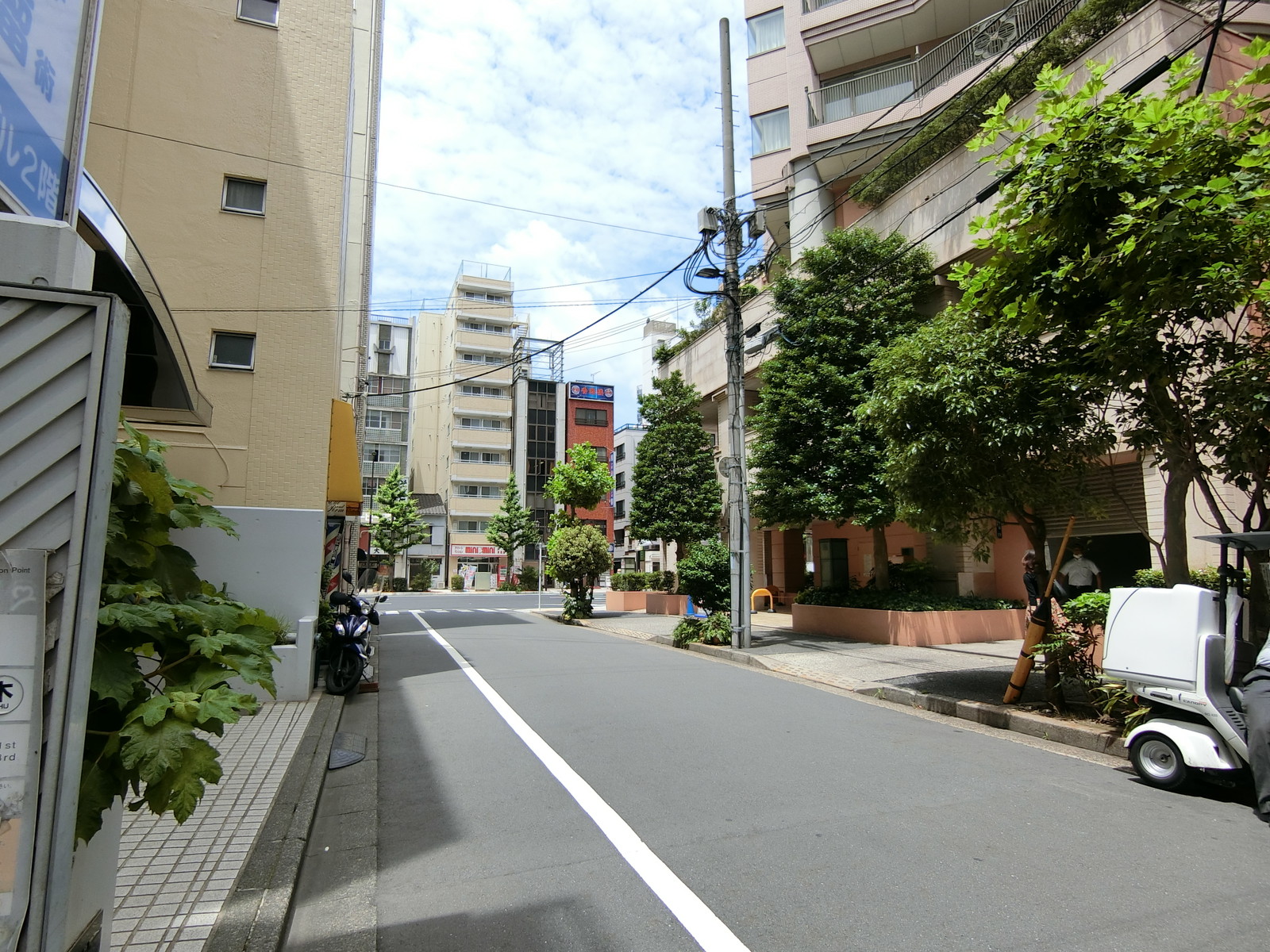 パラッツォ前面の通り