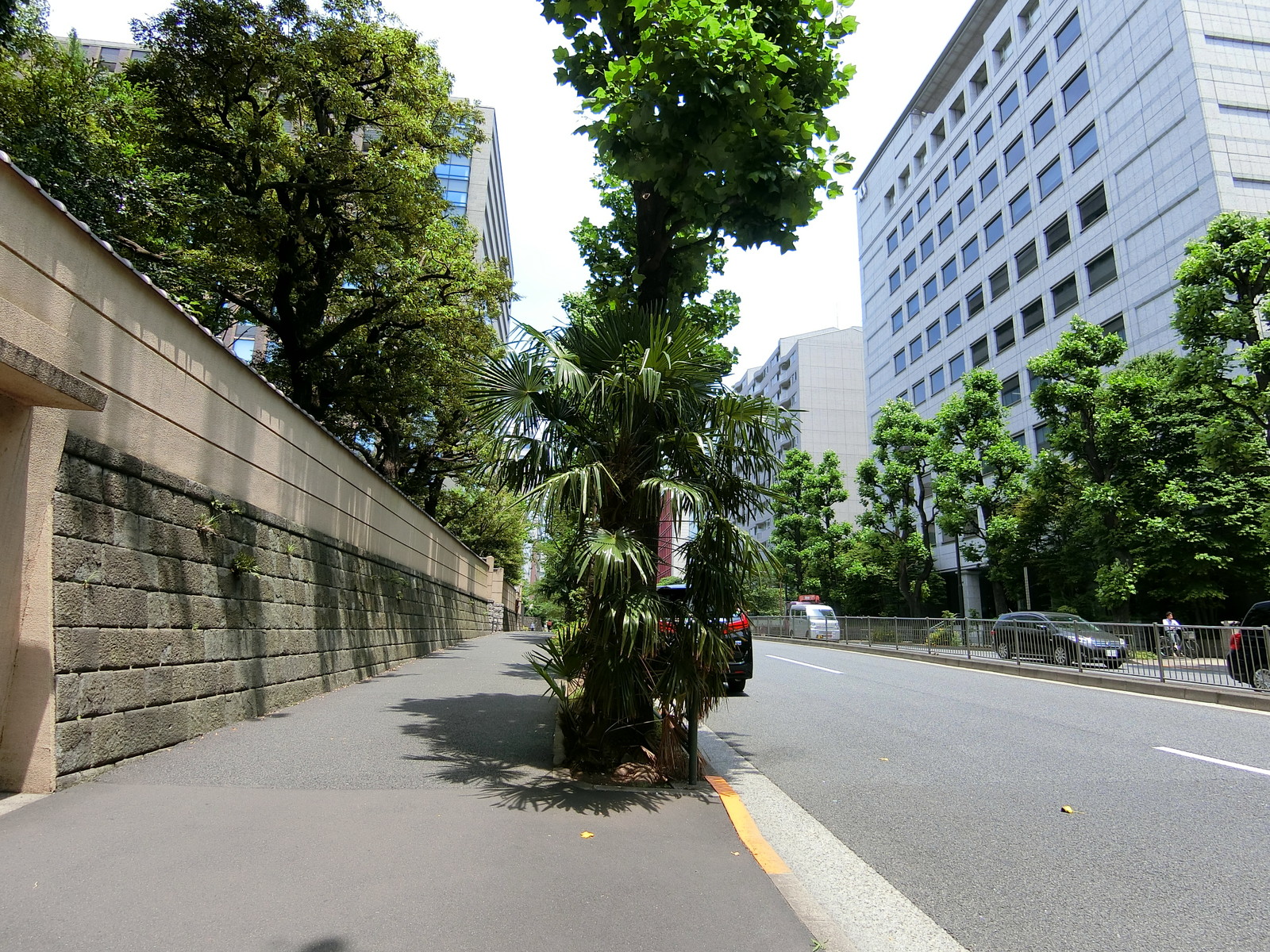 三番町KSビル前面の通り