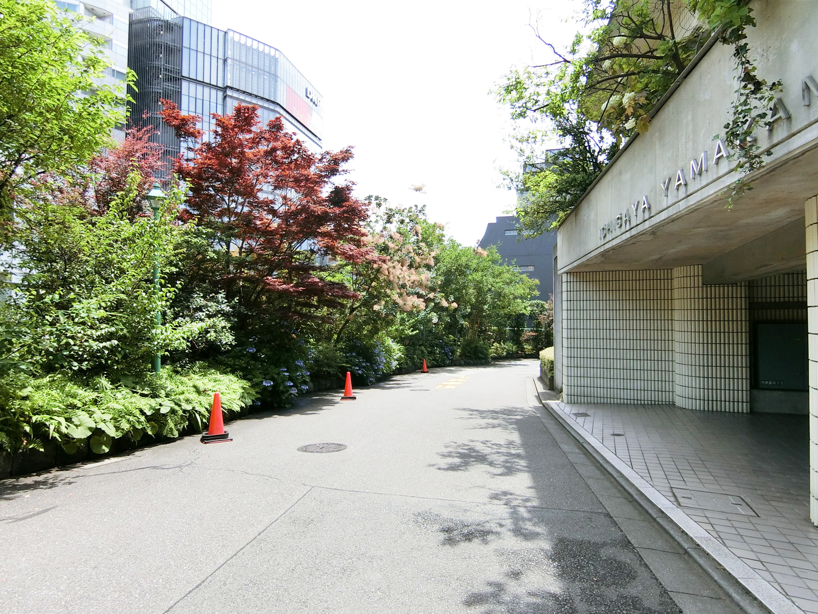 市谷山上ビル前面の通り