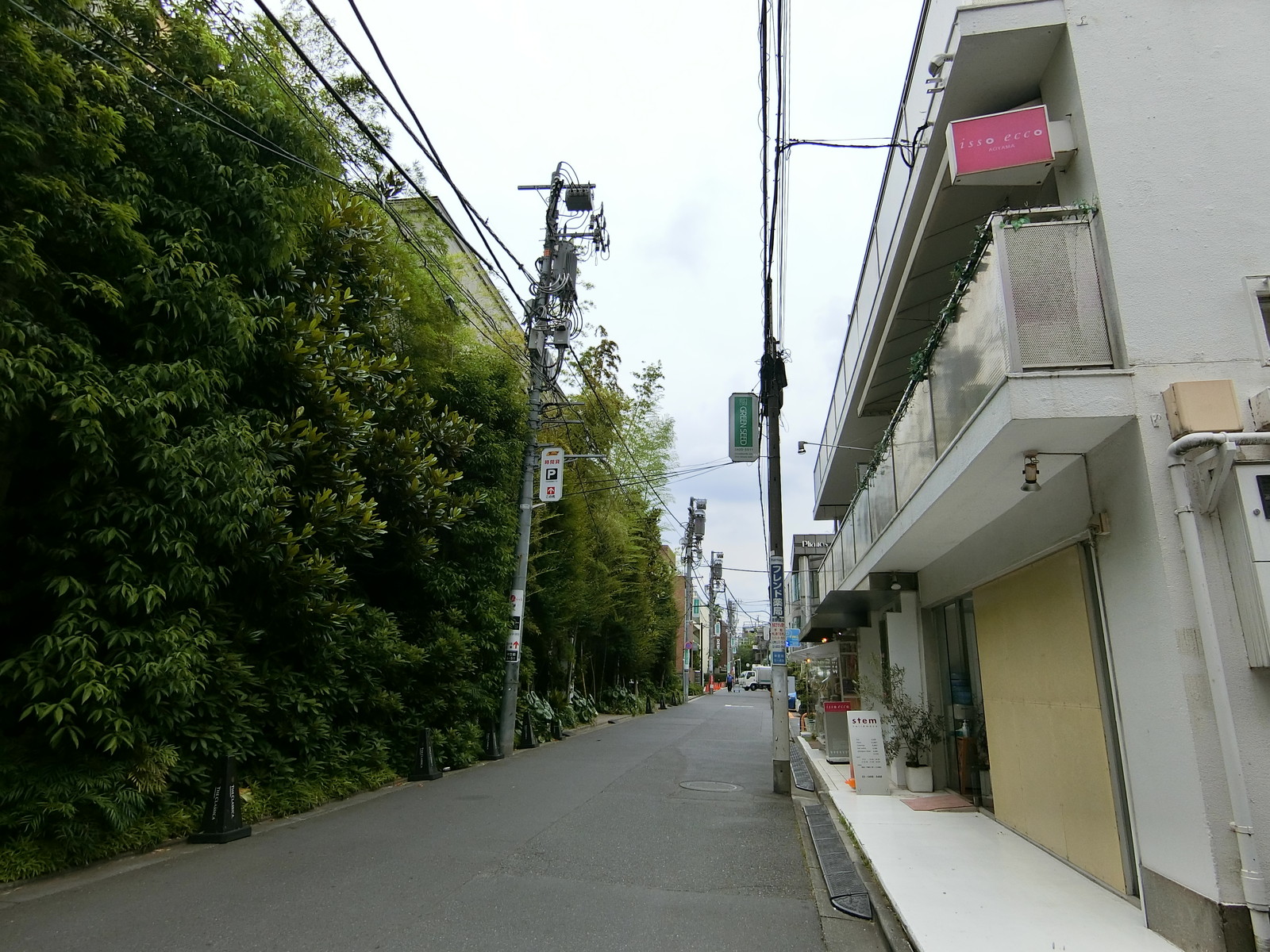 ファノス表参道前面の通り