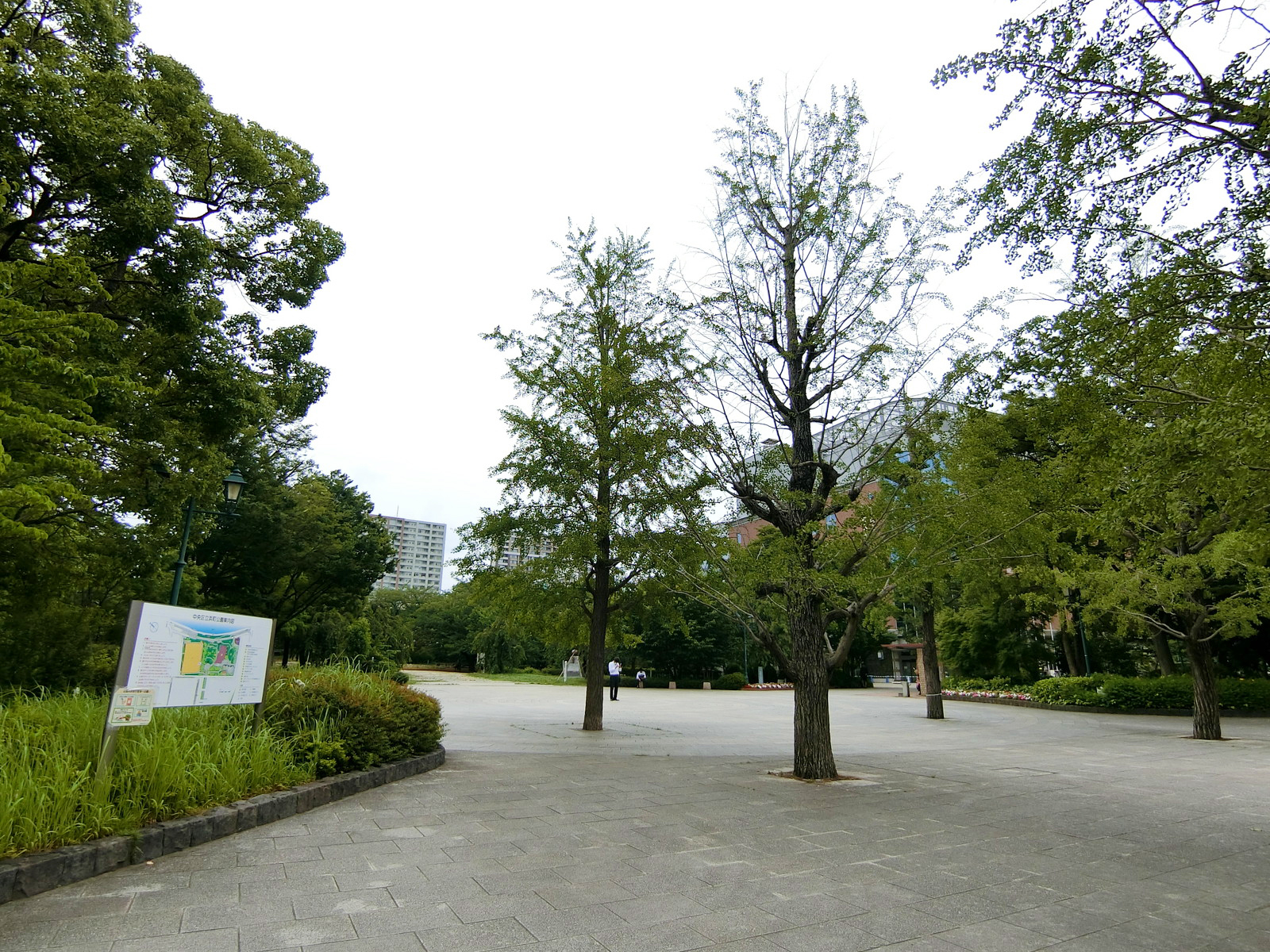 至近の浜町公園
