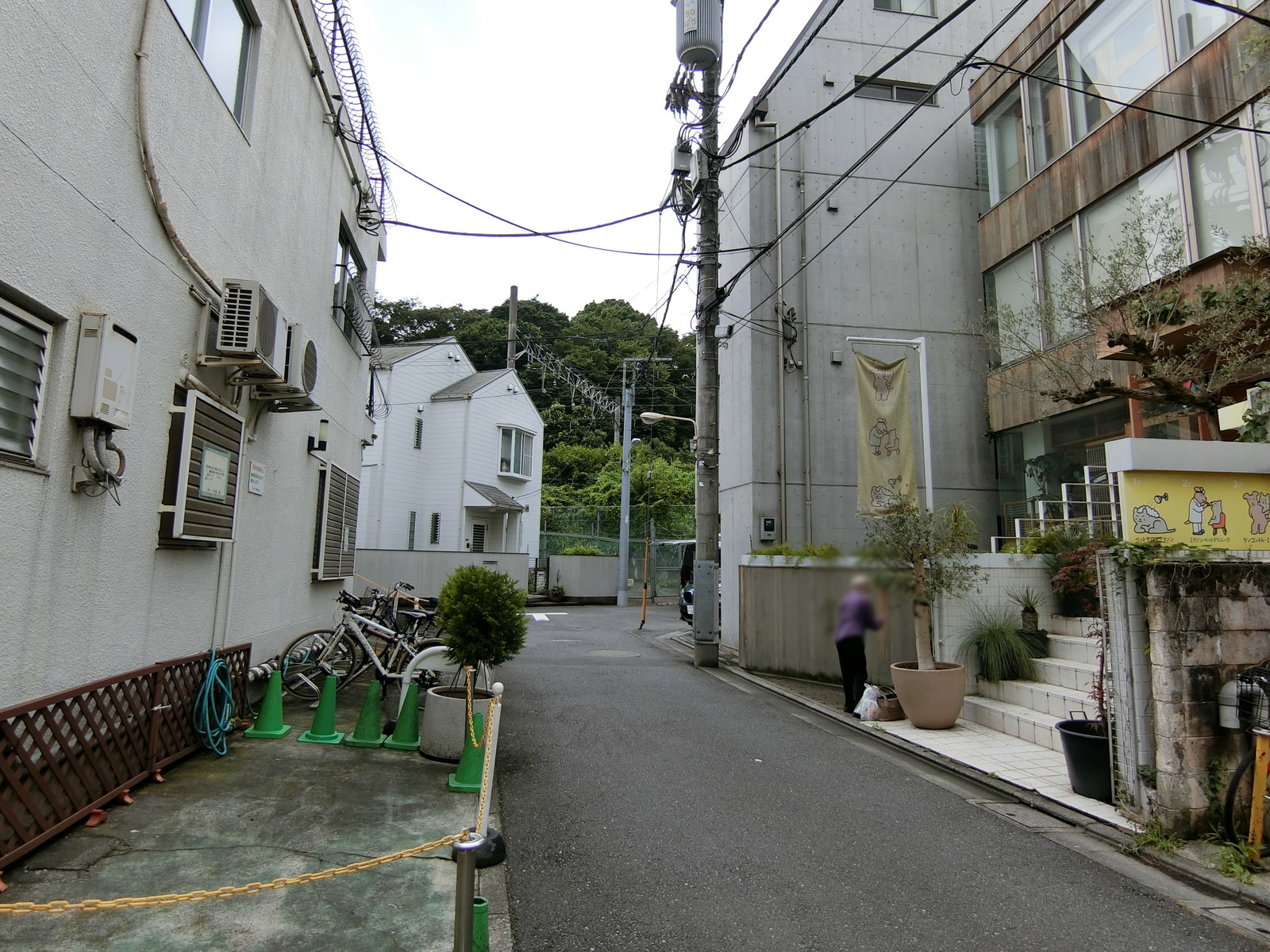 サニー千駄ヶ谷前面の通り