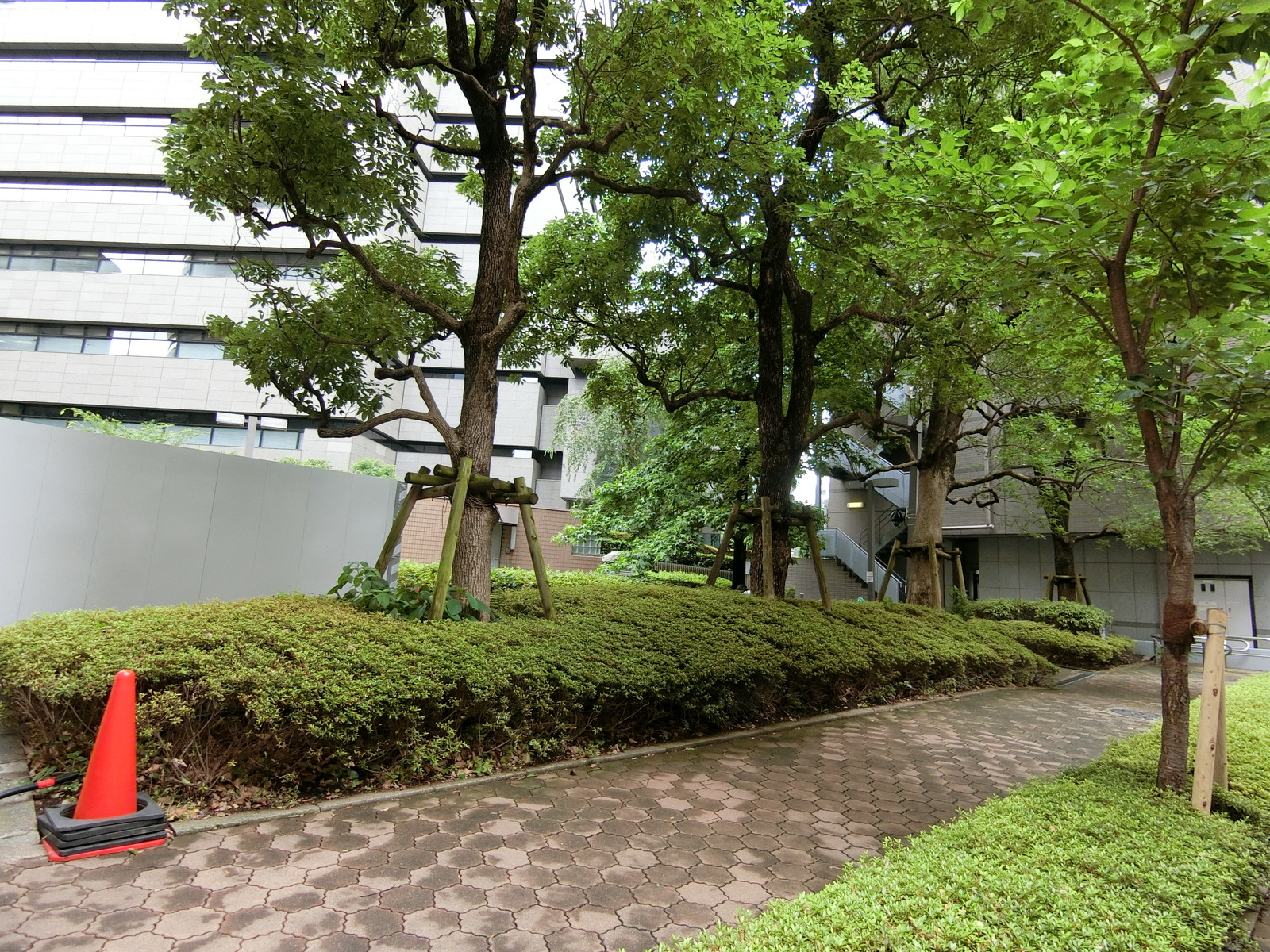 向かいの緑地