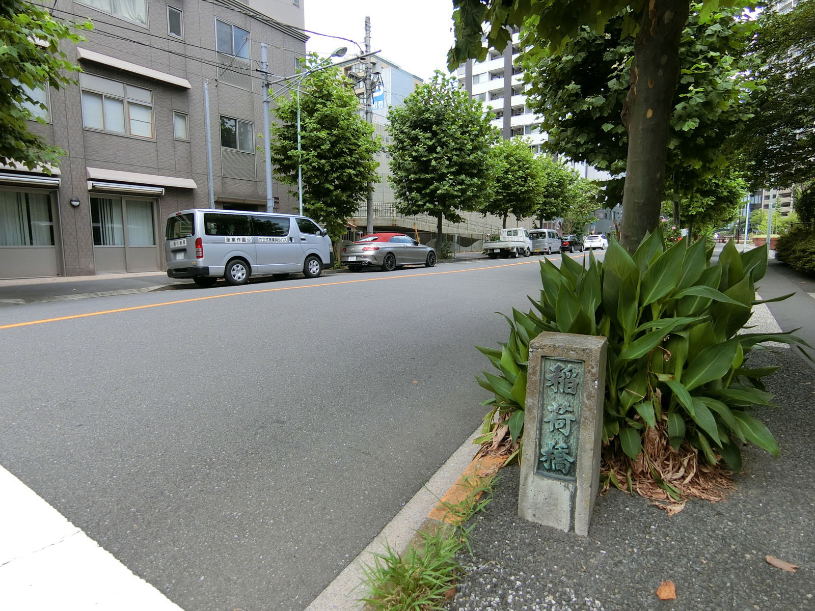 メイセイビル前面の通り