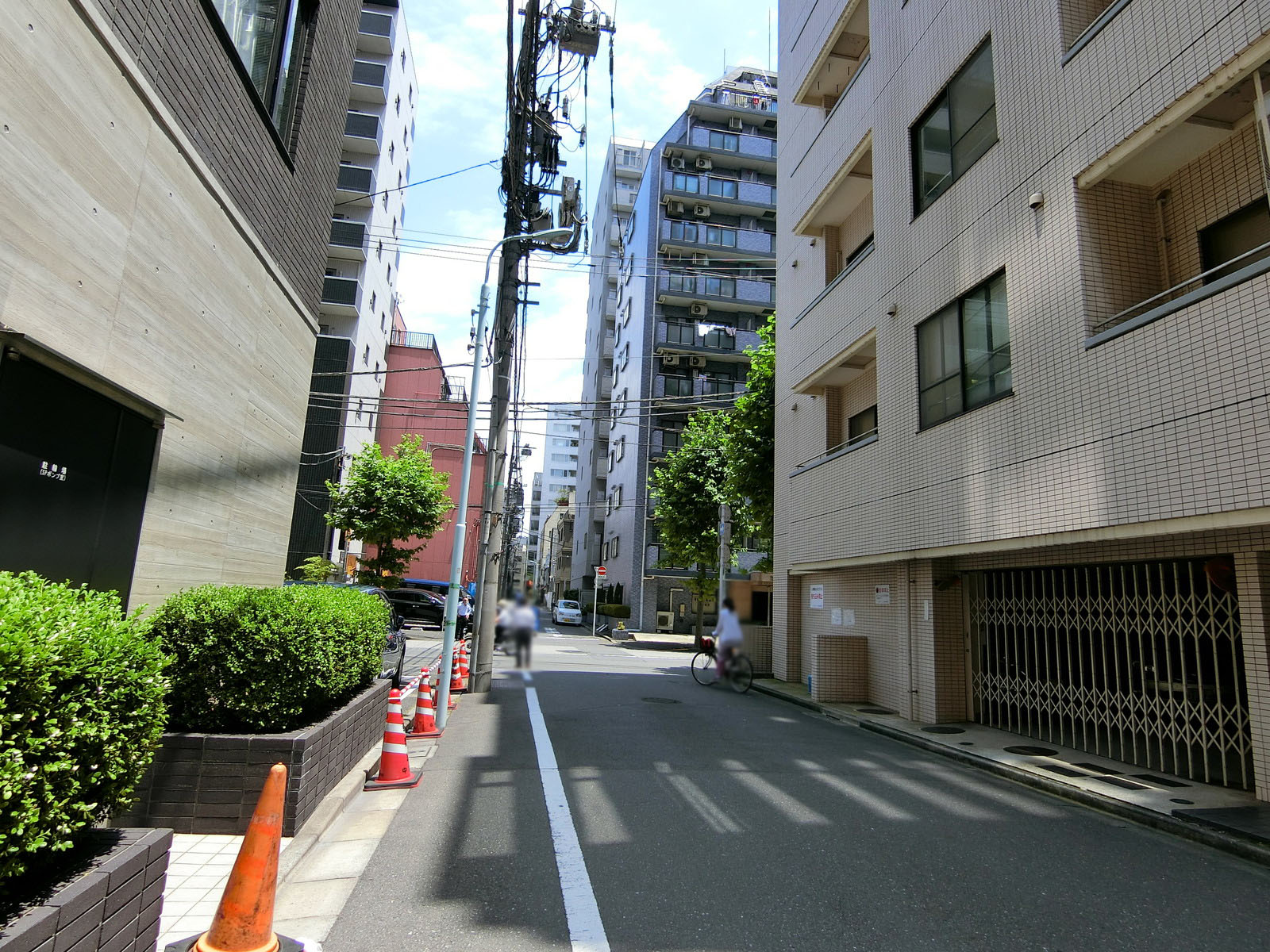 藤和シティコープ新富町ビル前面の通り