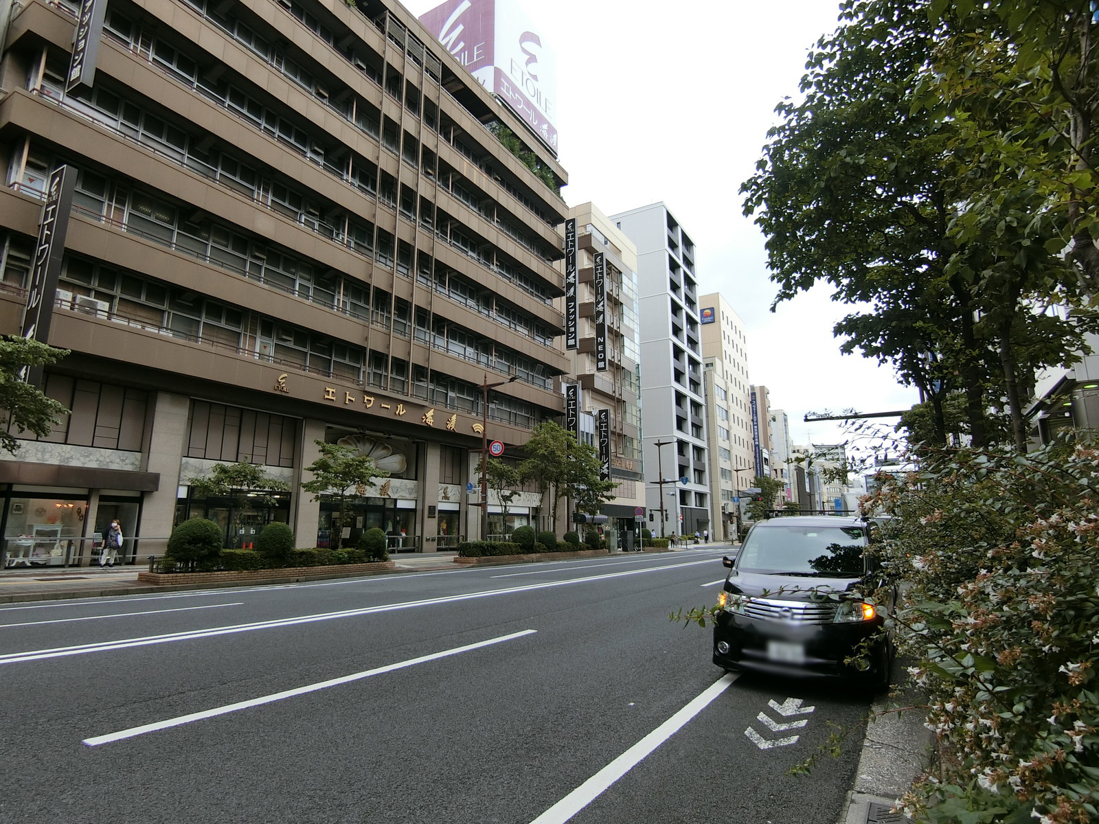 第7堀ビル前面の江戸通り
