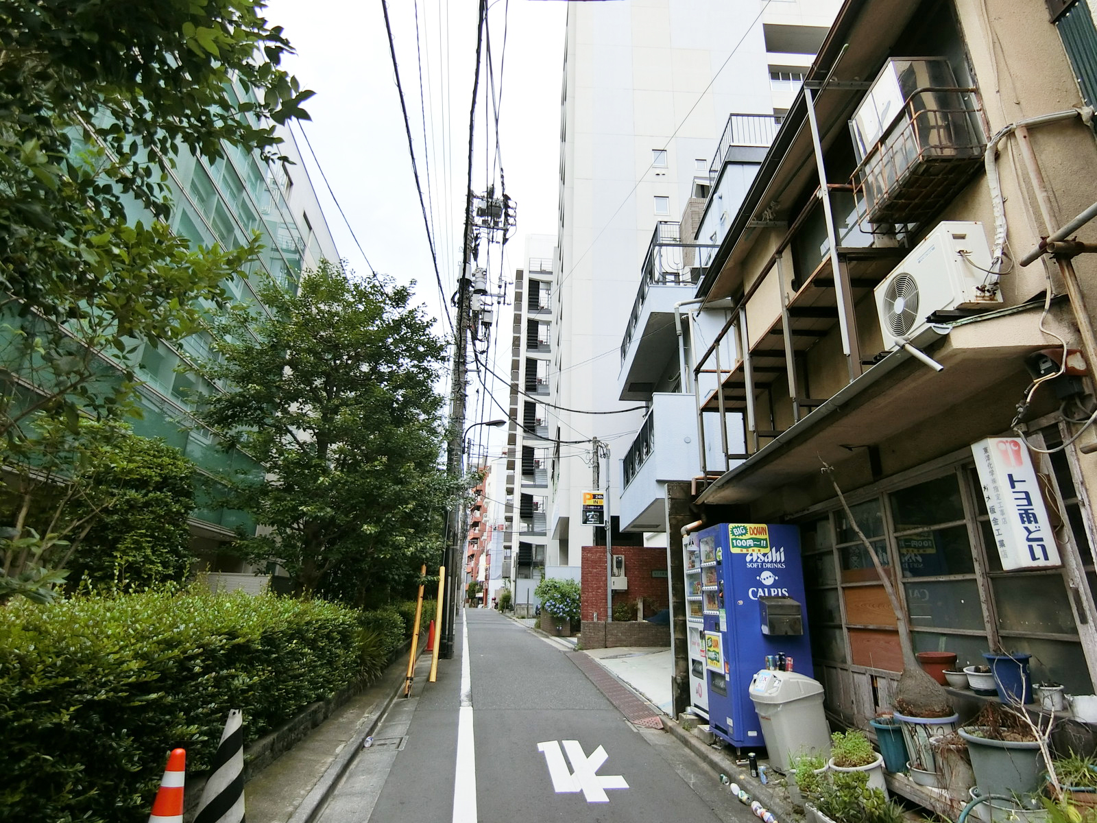 MYK四谷2丁目ビル前面の通り