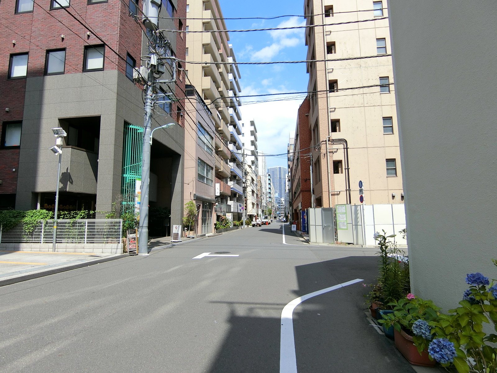 ドルフィンKOTO入船ビル前面の通り