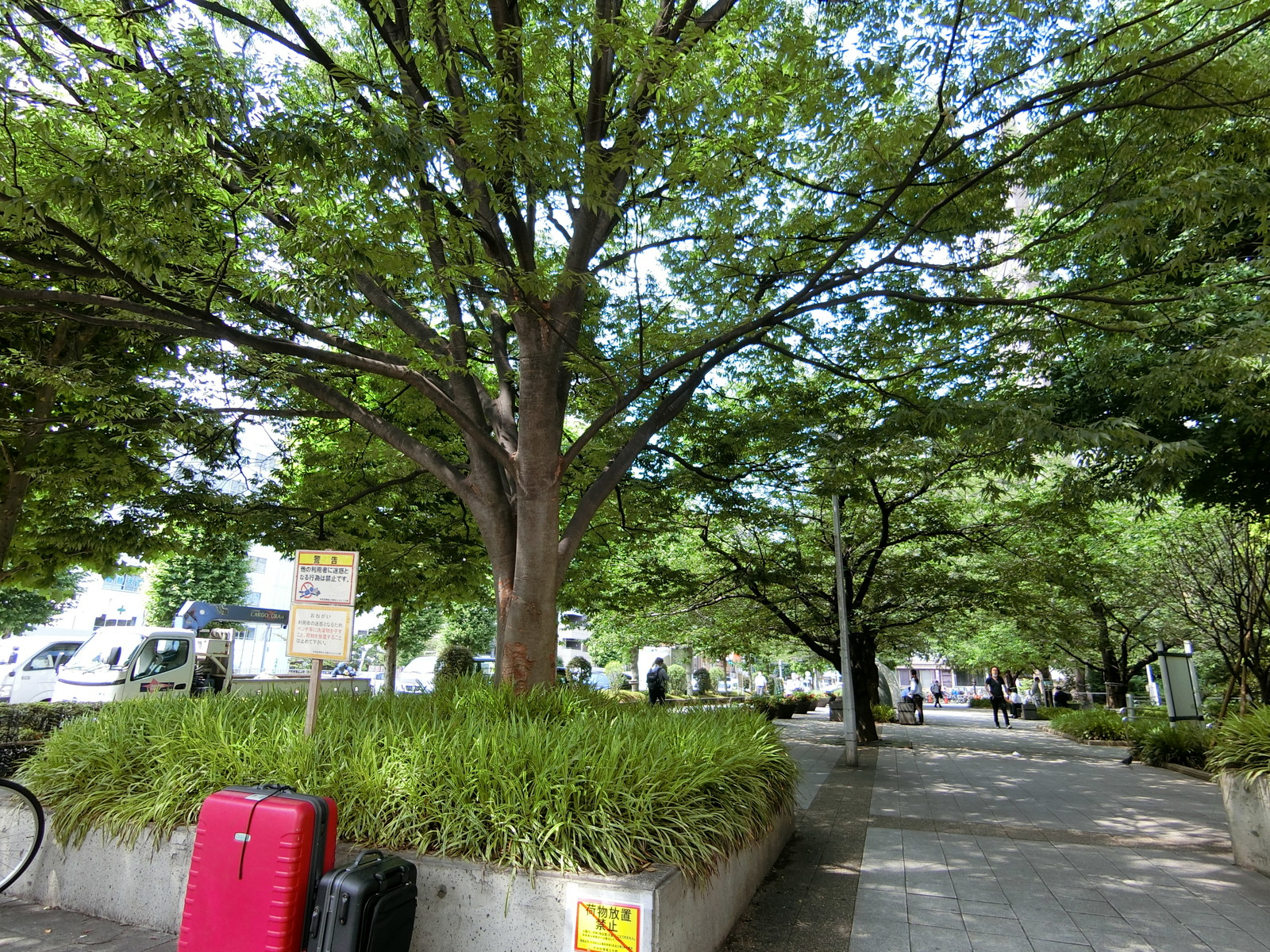 裏手にある桜川公園