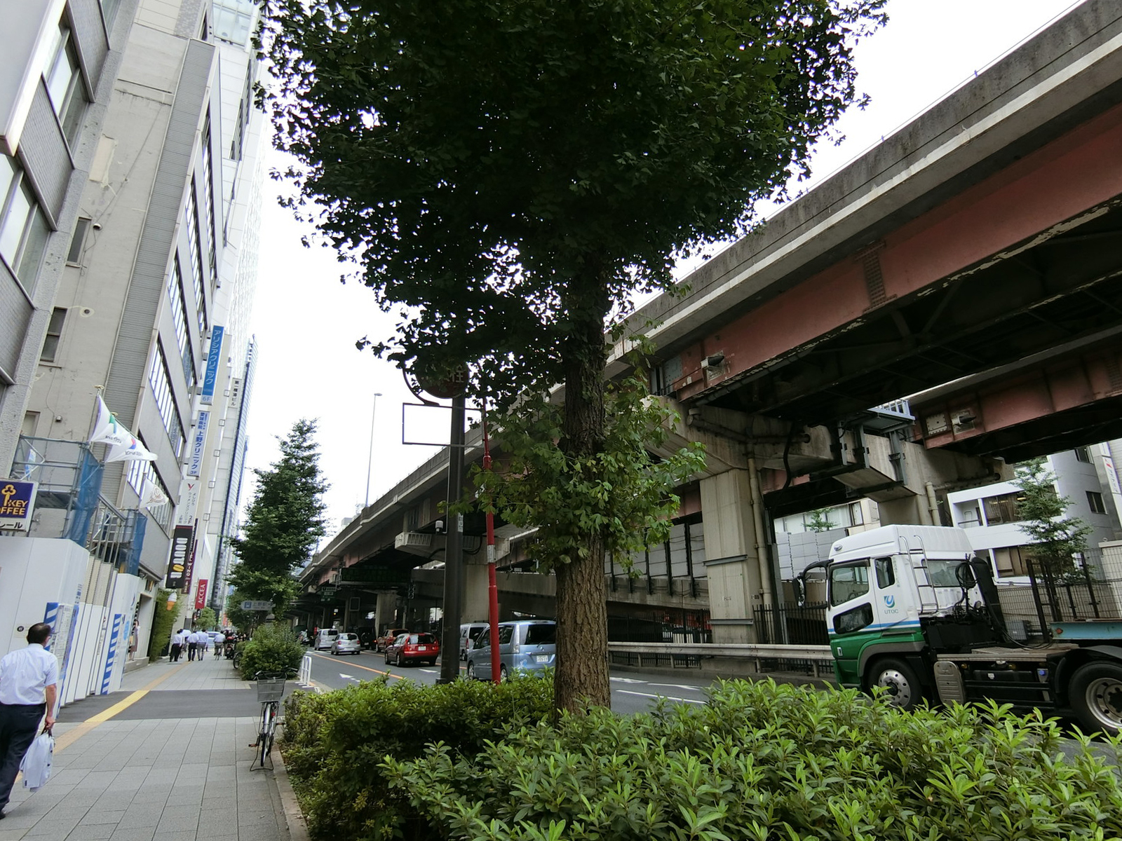 第一樺沢ビル前面の昭和通り