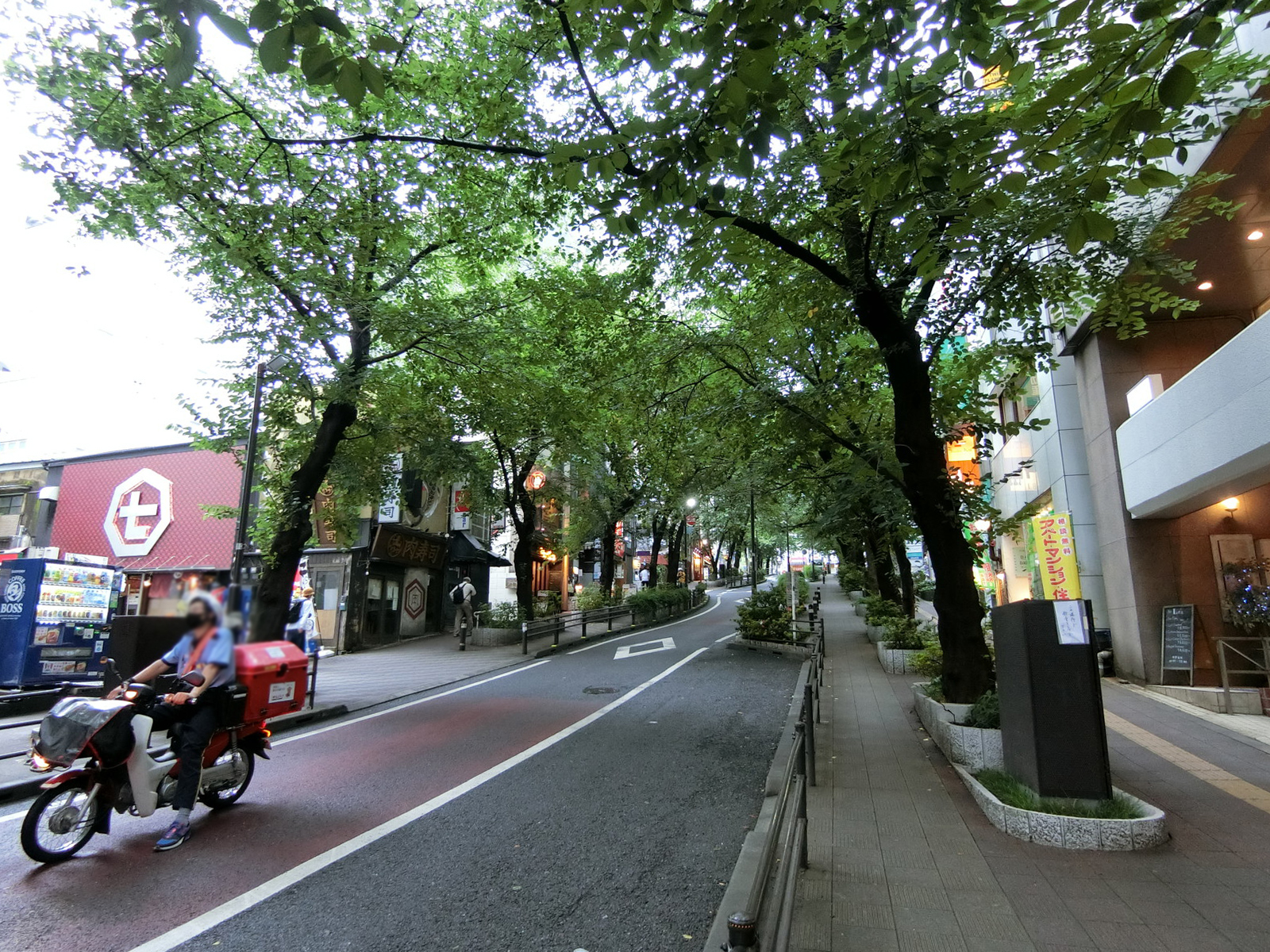 至近のさくら坂