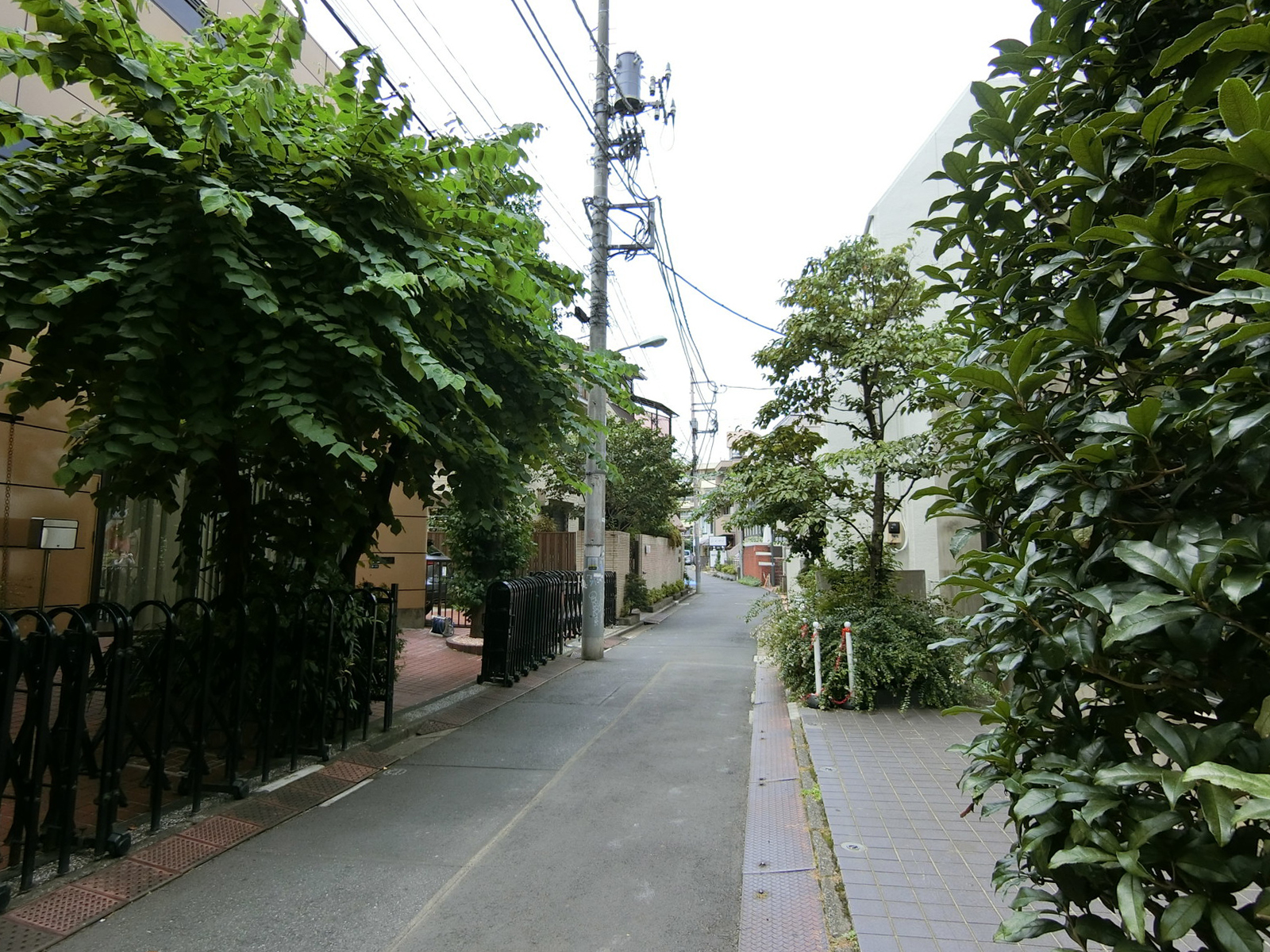 ラセーヌ前面の通り