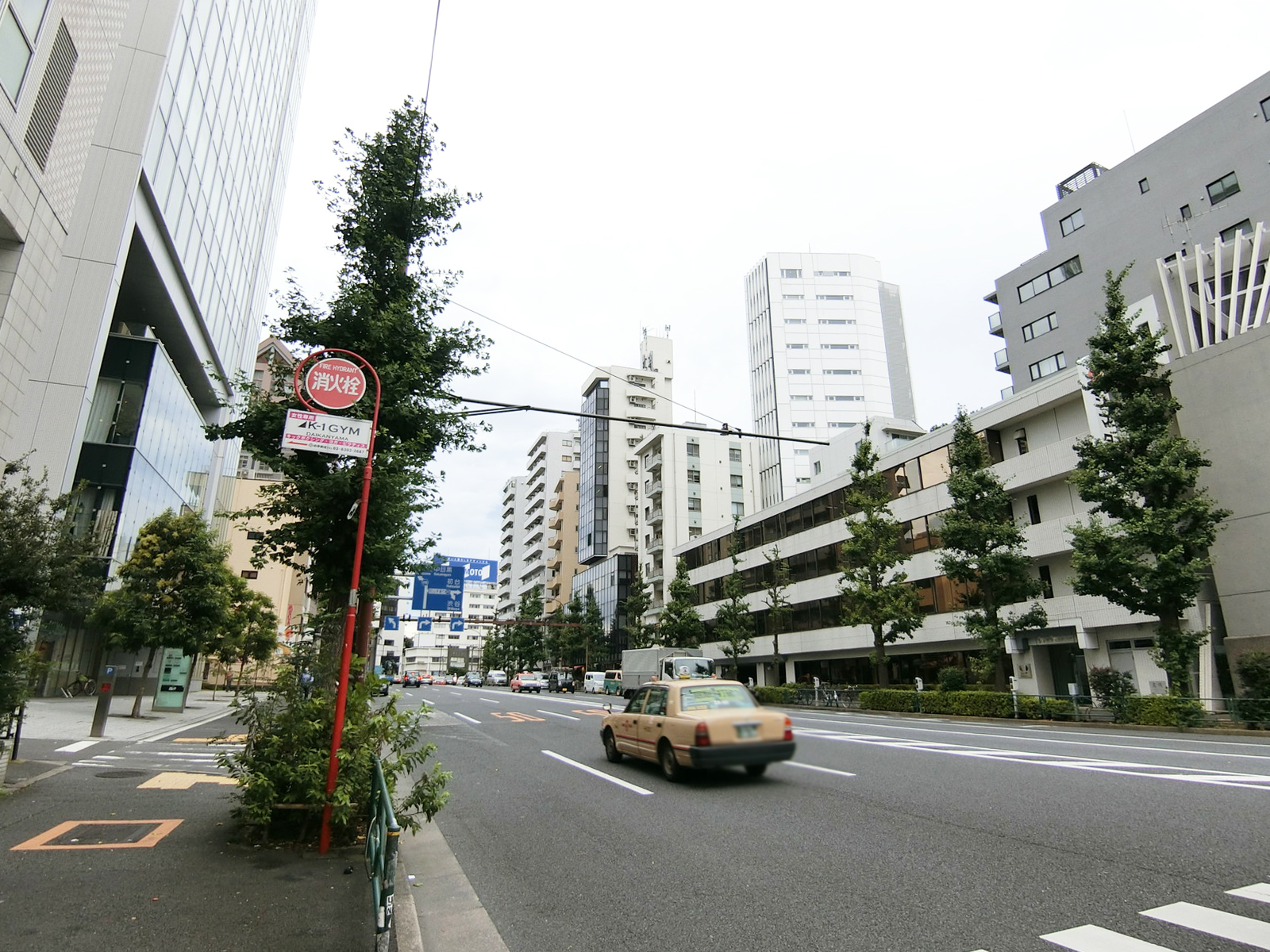 アイトリアノン前面の駒沢通り
